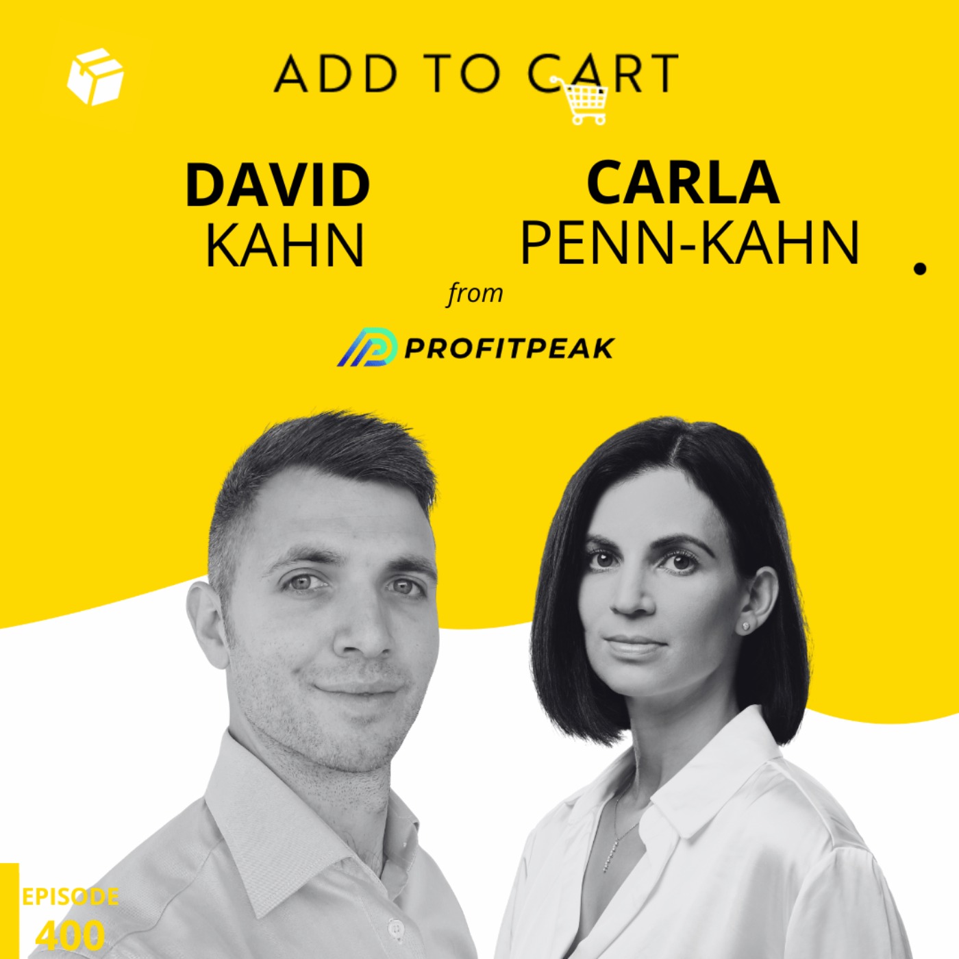Carla Penn-Kahn and David Kahn: Boosting Ecommerce Profitability with Visibility | #400
