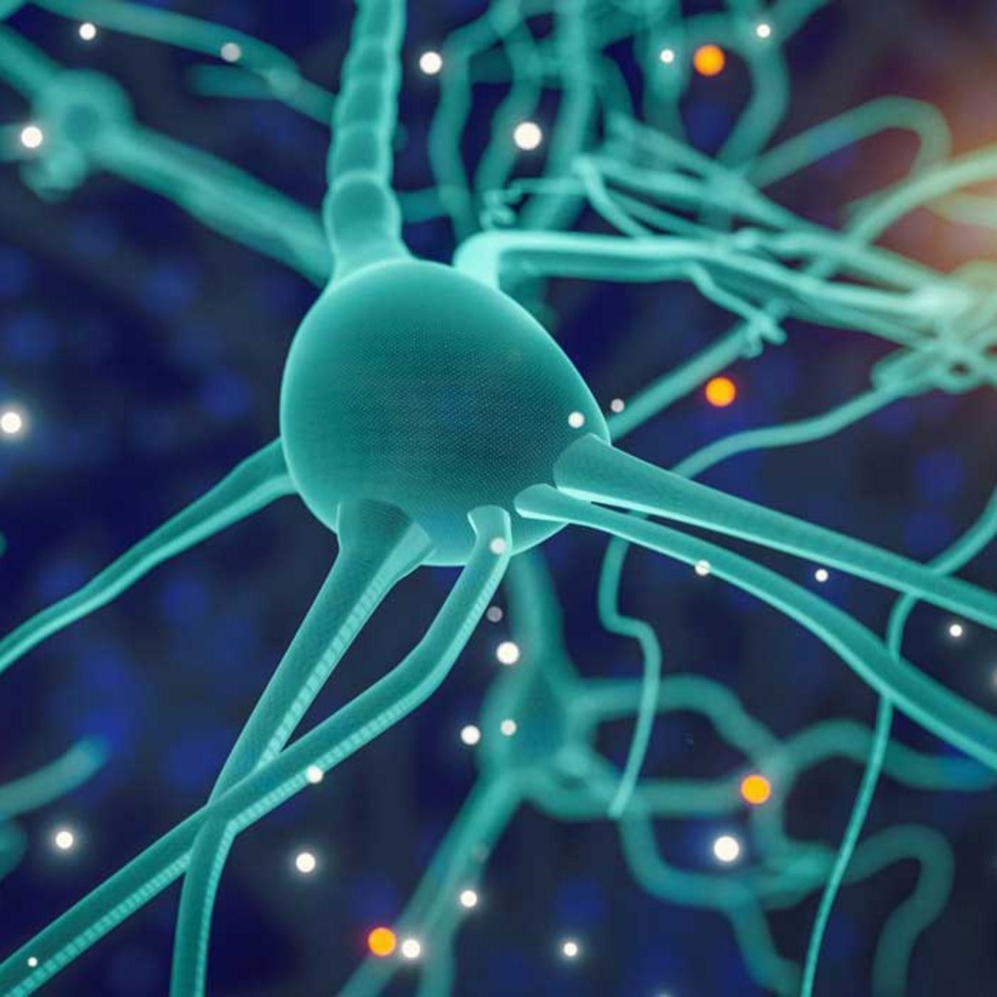 Beyond Surviving with Rachel Grant