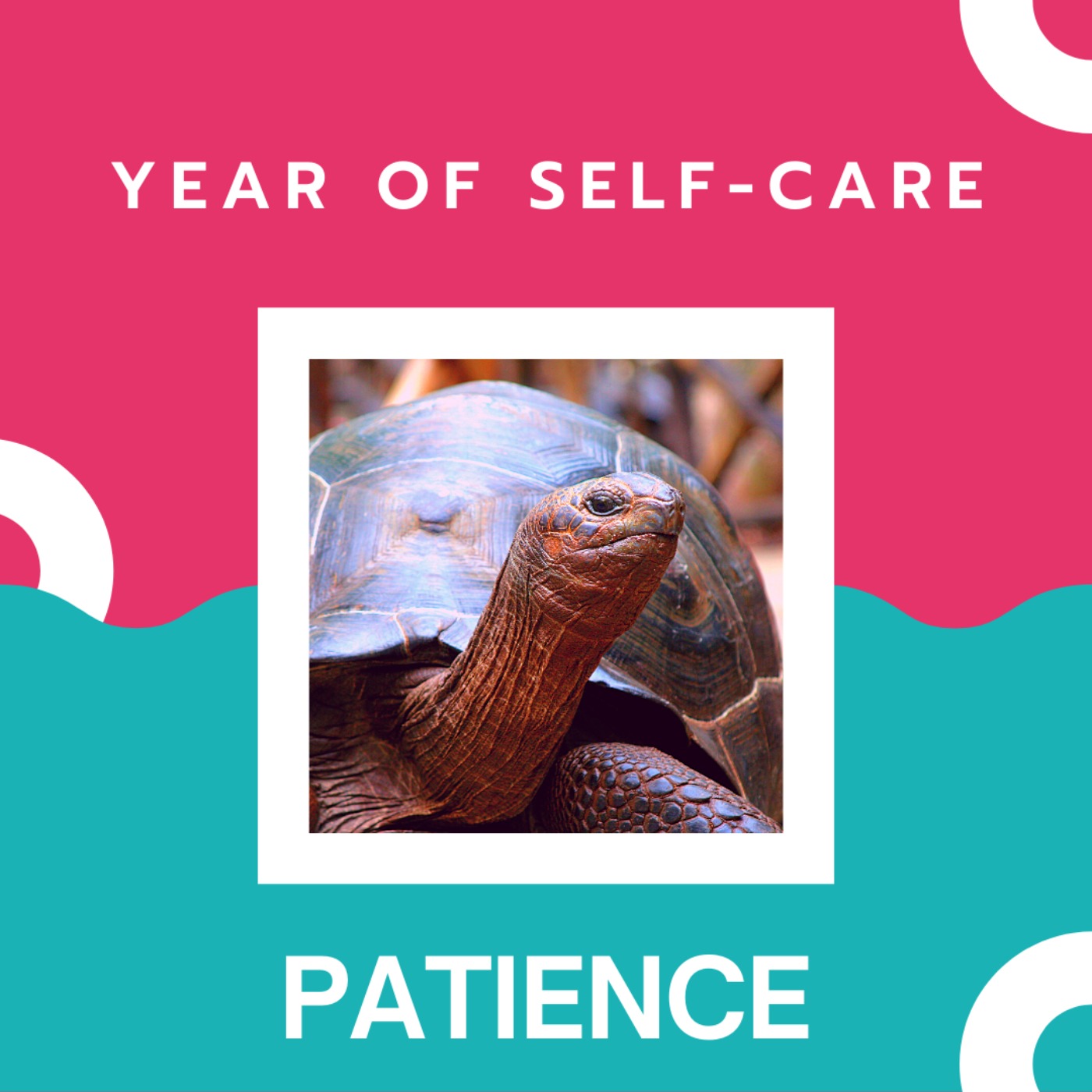Year of Self-Care: Patience