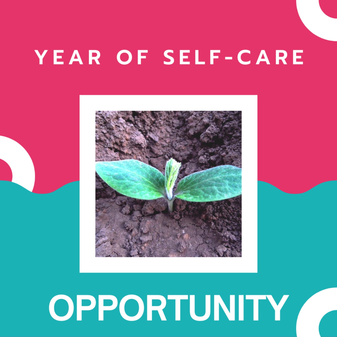 Year of Self-Care: Opportunity