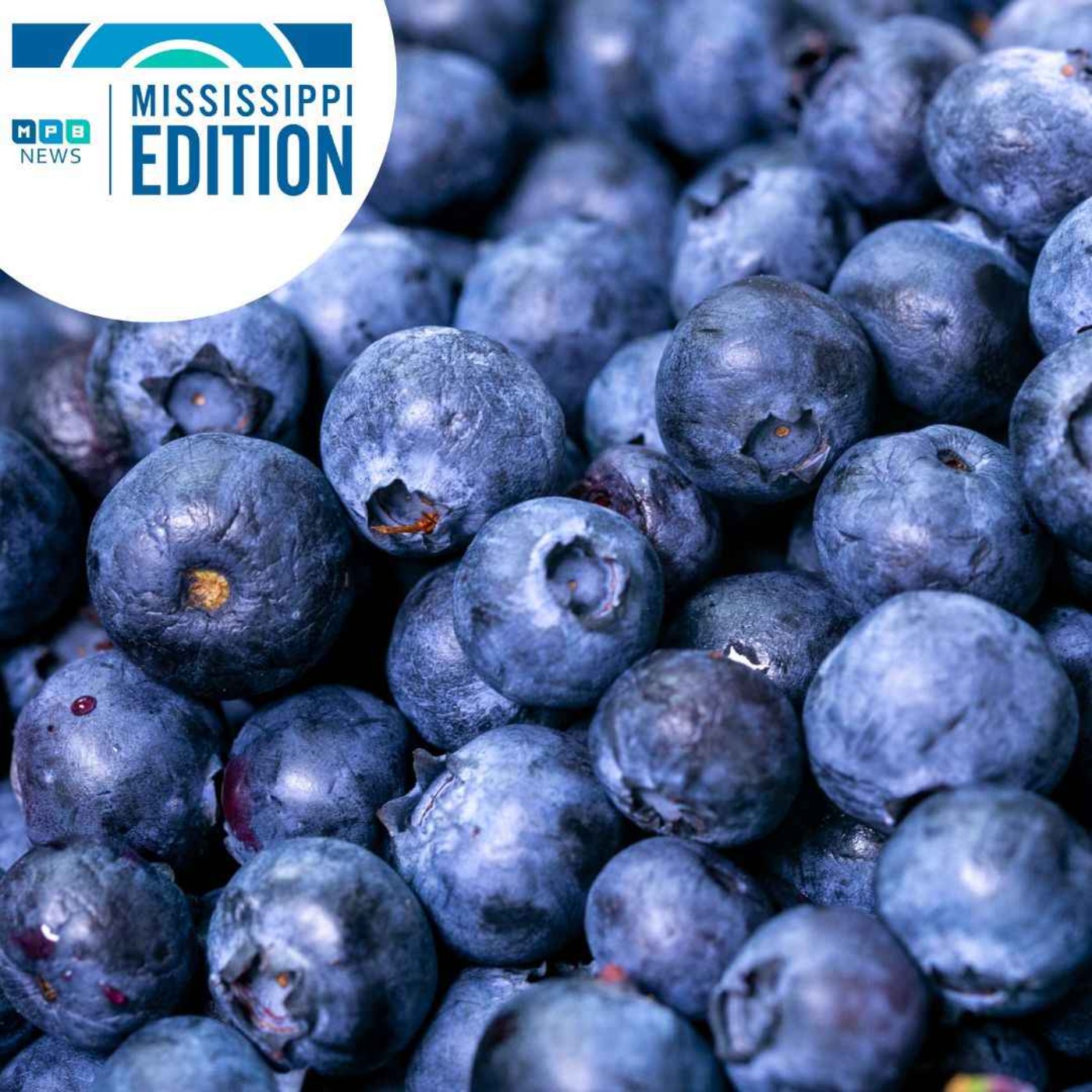 06/29/2023- New Nursing School Building | Alzheimers | Blueberries