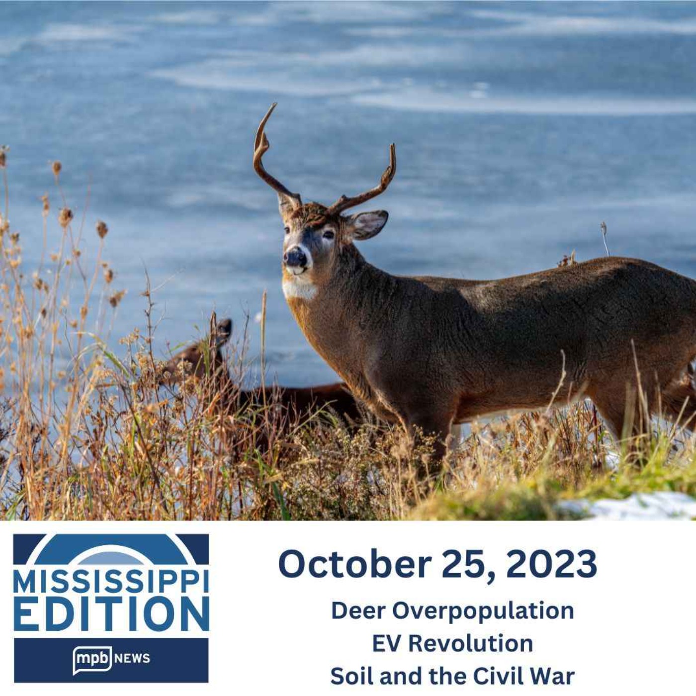 10/25/2023: Deer Overpopulation | EV Revolution | Soil and the Civil War