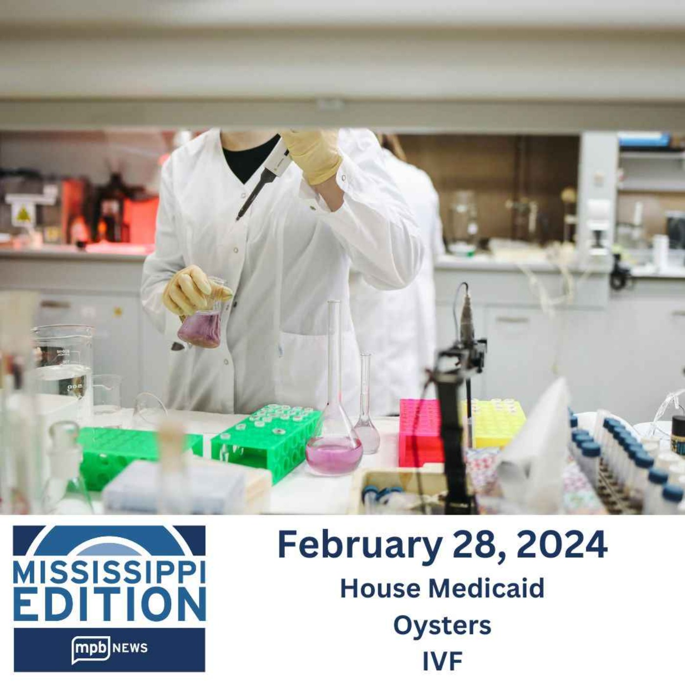 cover art for 02/28/2024: House Medicaid Bill | Oysters | IVF