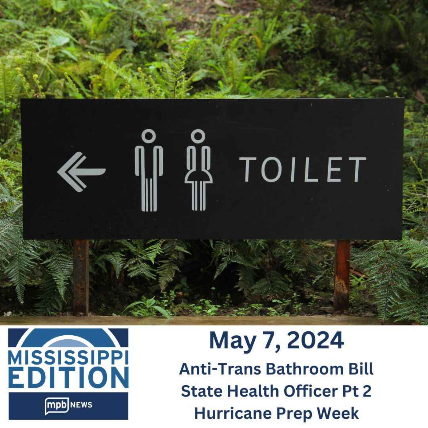 cover art for 05/07/2024: Anti-Trans Bathroom Bill | State Health Officer Pt 2 | Hurricane Prep Week