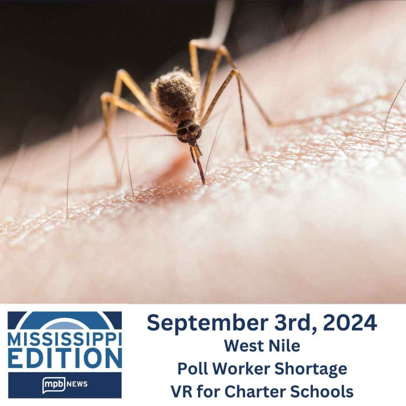 09/03/2024: West Nile | Poll Worker Shortage | VR for Charter Schools