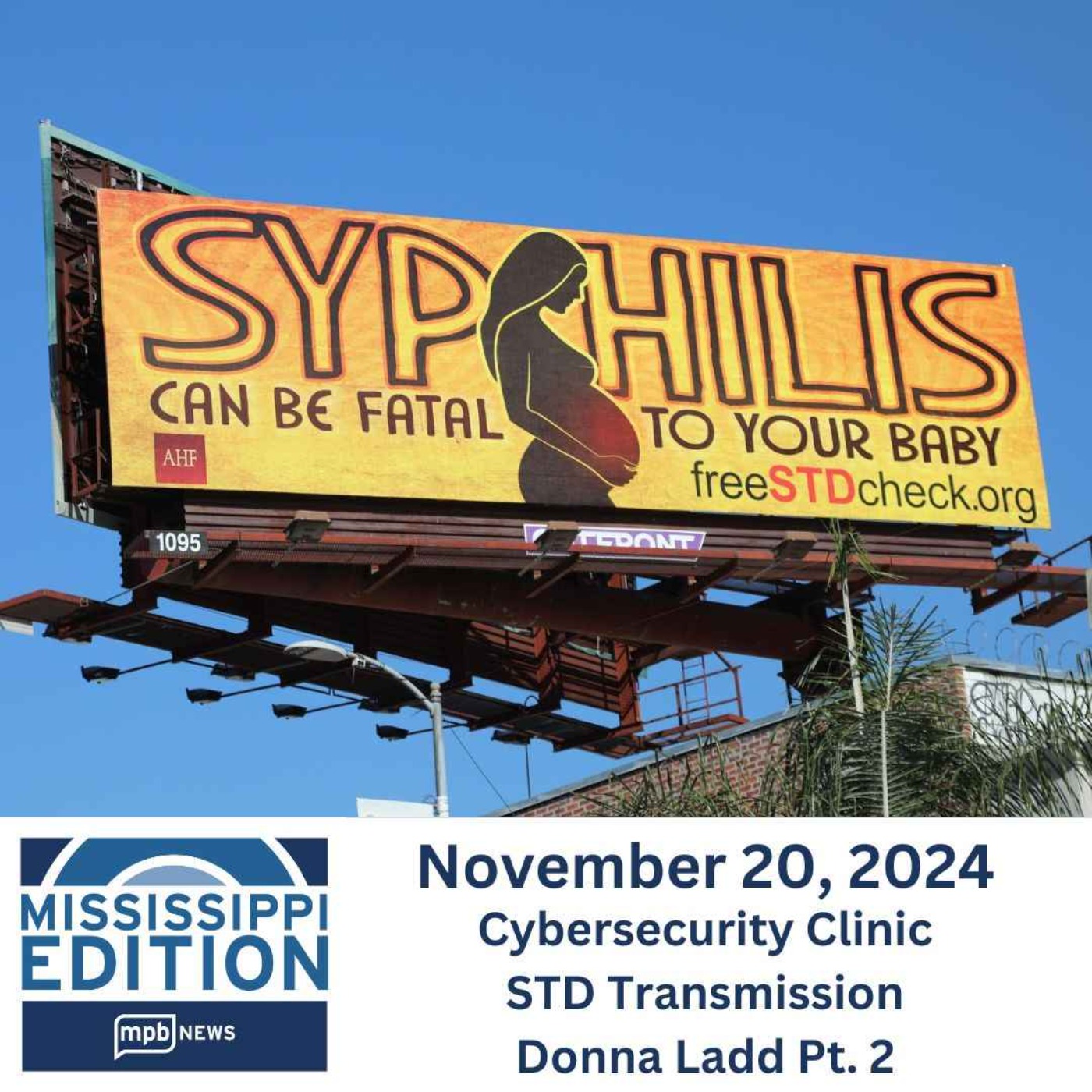 11/20/2024: Cybersecurity Clinic | STD Transmission | Donna Ladd Pt. 2