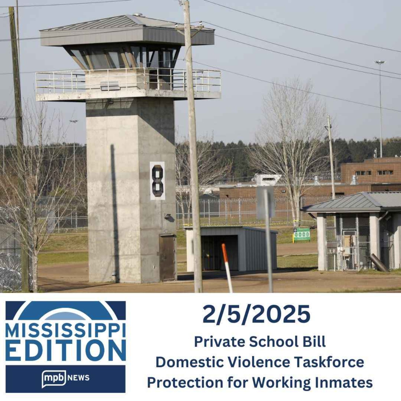02/05/2025: Private School Bill | Domestic Violence Taskforce | Protection for Working Inmates