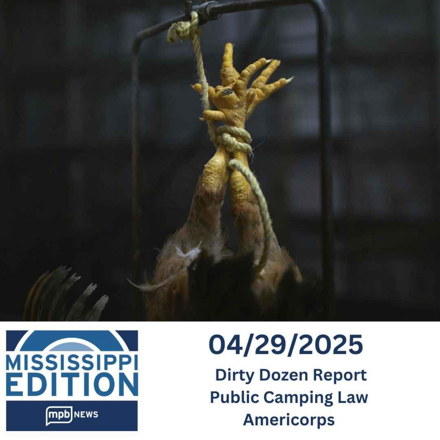 04/29/2025: Dirty Dozen Report | Public Camping Law | Americorps