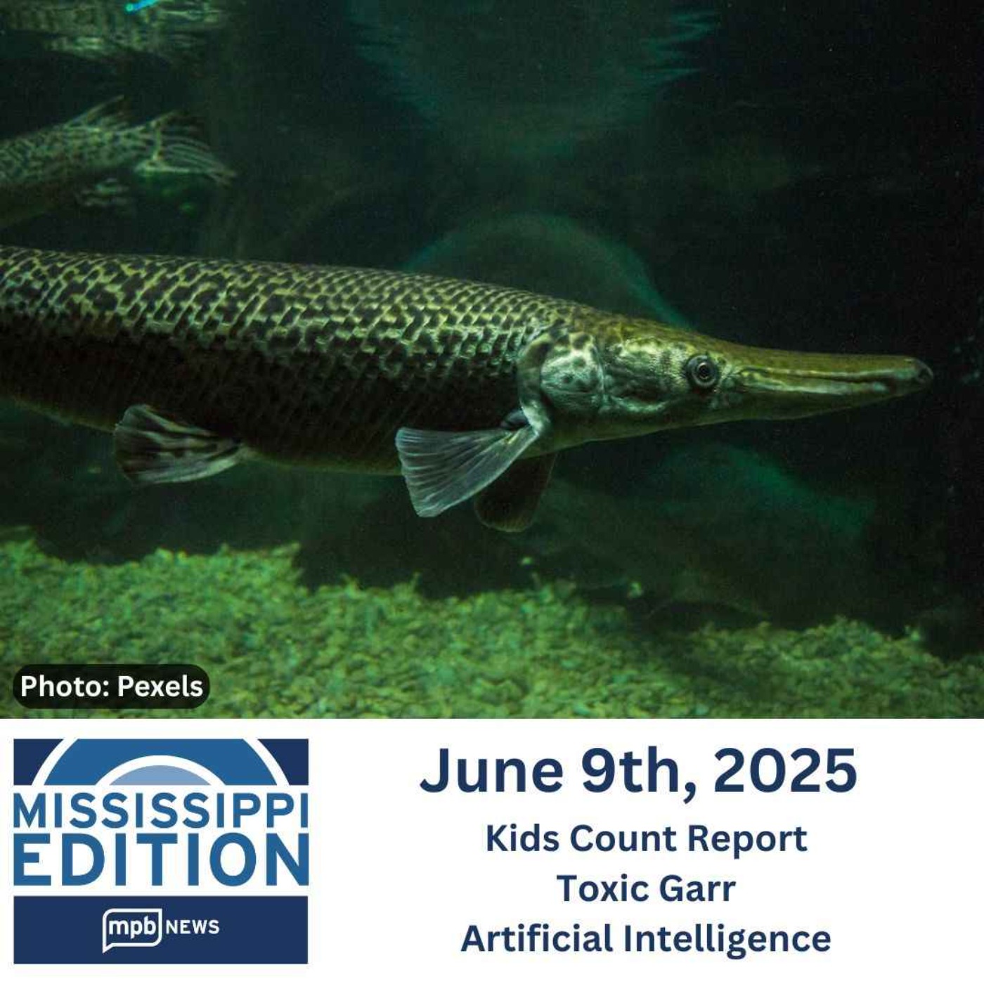 06/09/2025: Kids Count Report | Toxic Garr | Artificial Intelligence