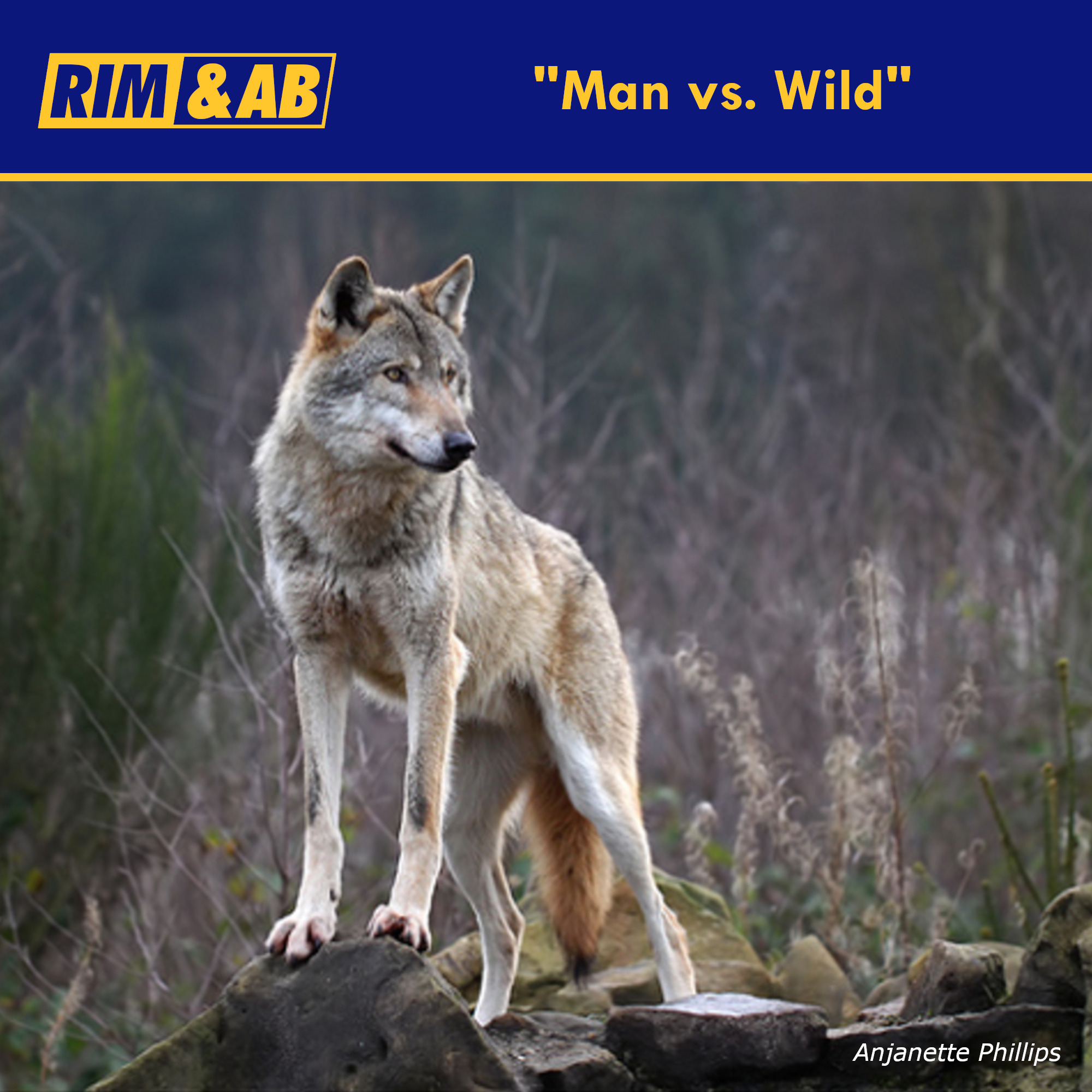 cover art for "Man vs. Wild" | RIMCAST 3/10/17