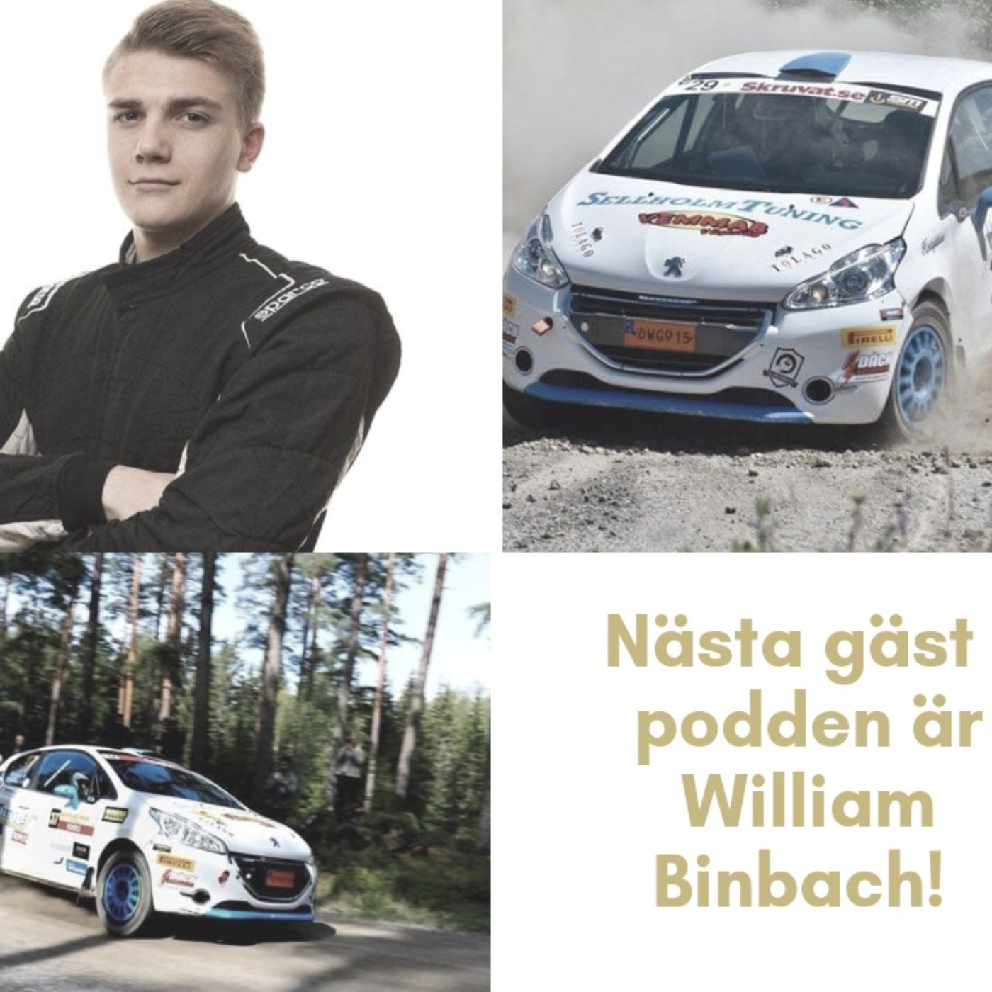 Rallypodden