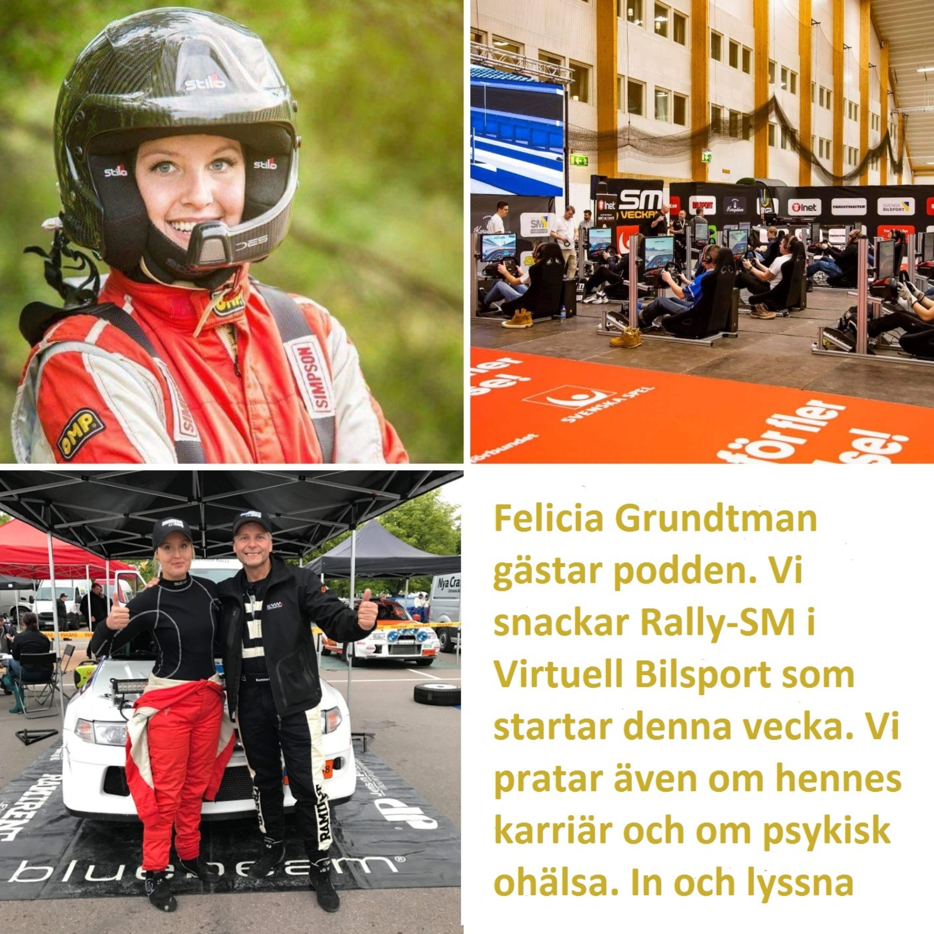 Rallypodden