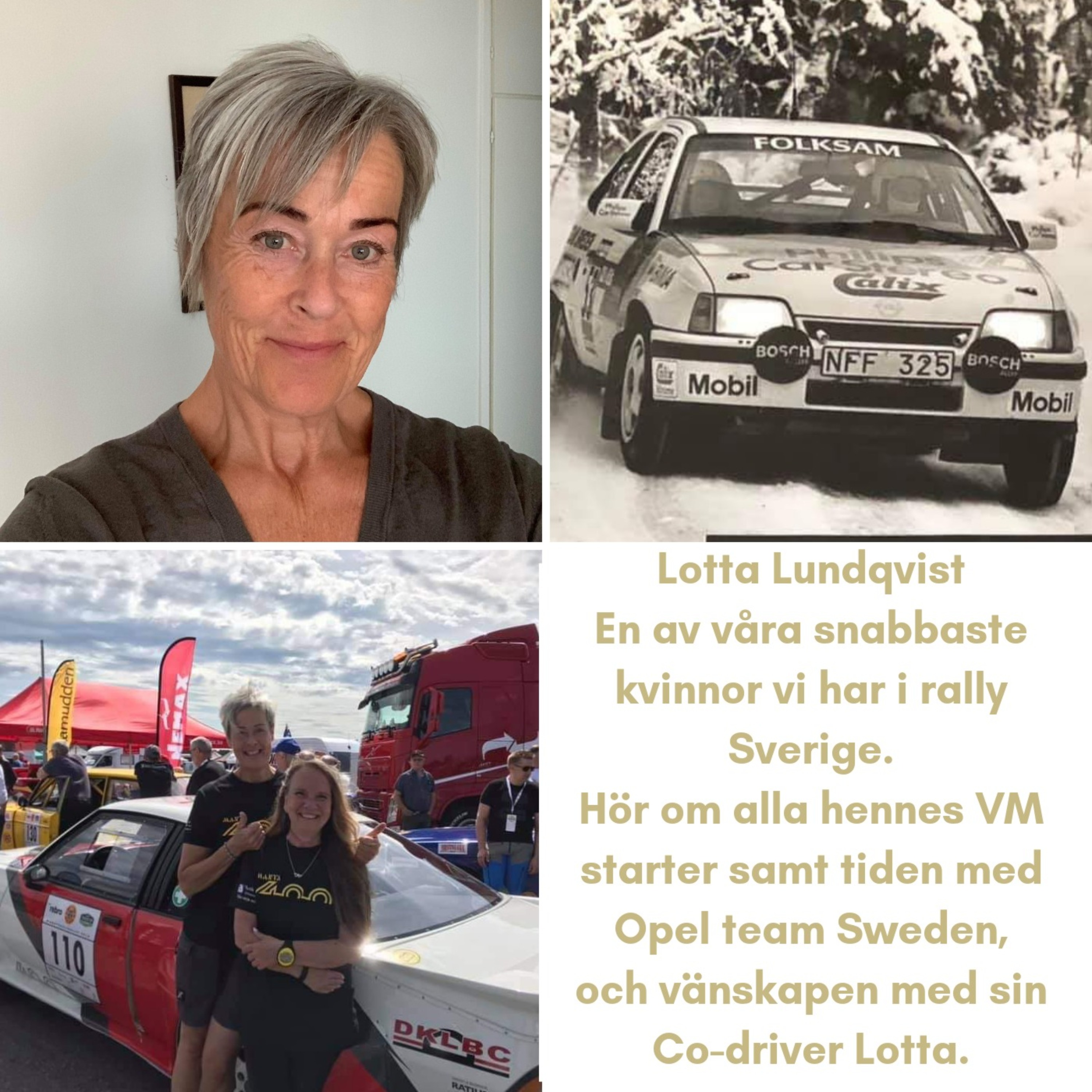 Rallypodden