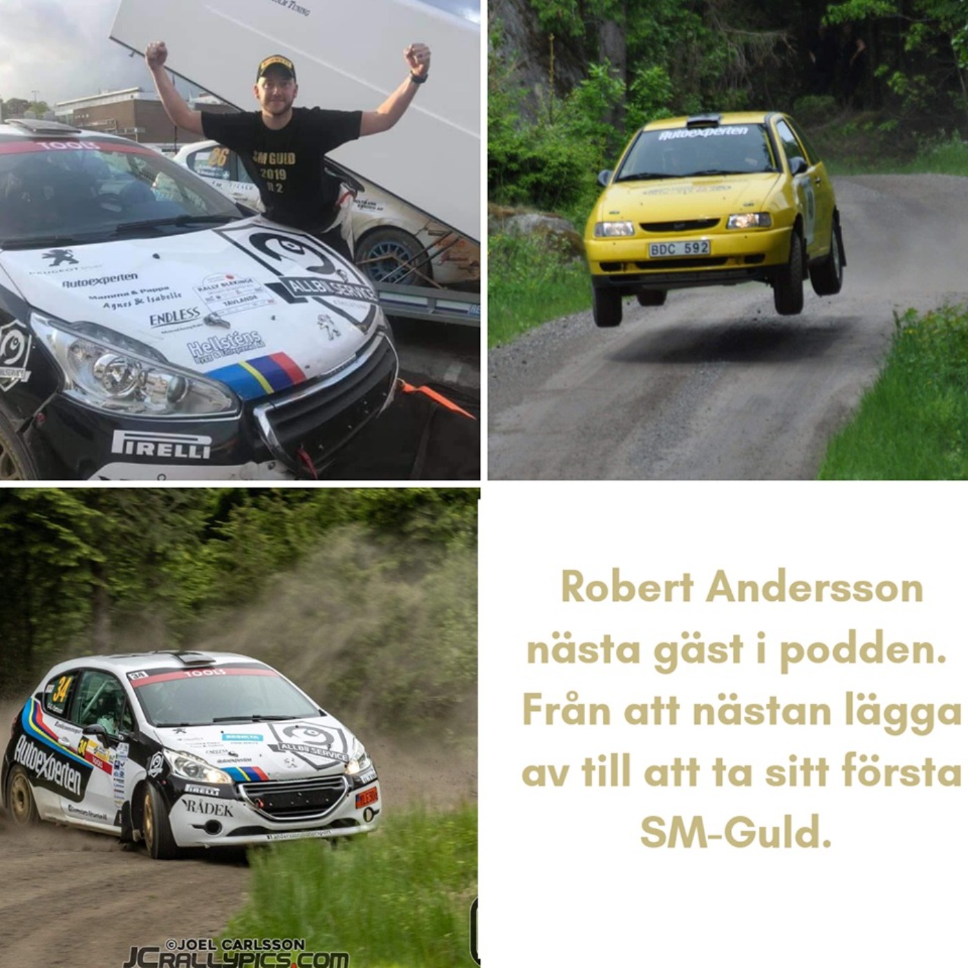 Rallypodden