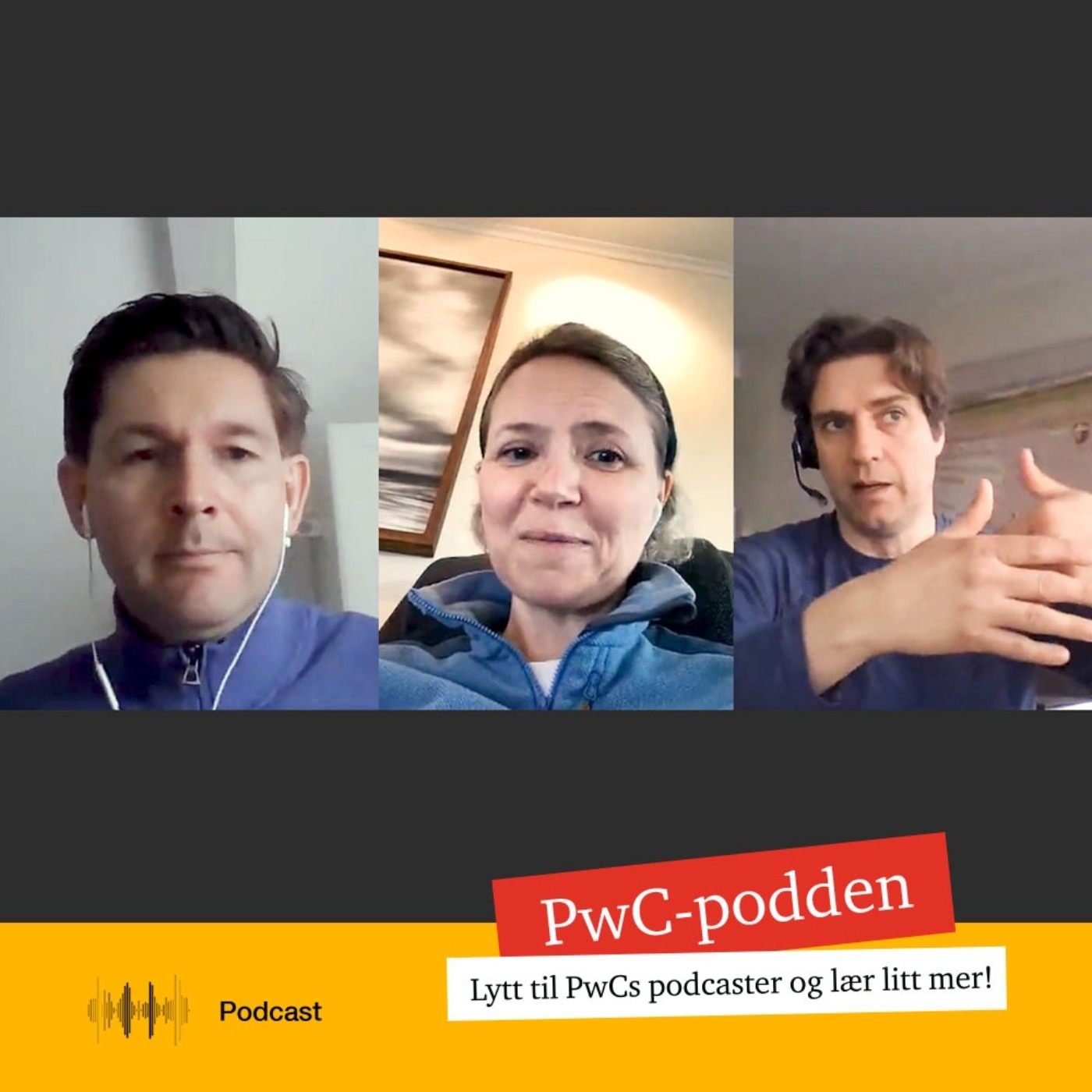 PwC-podden