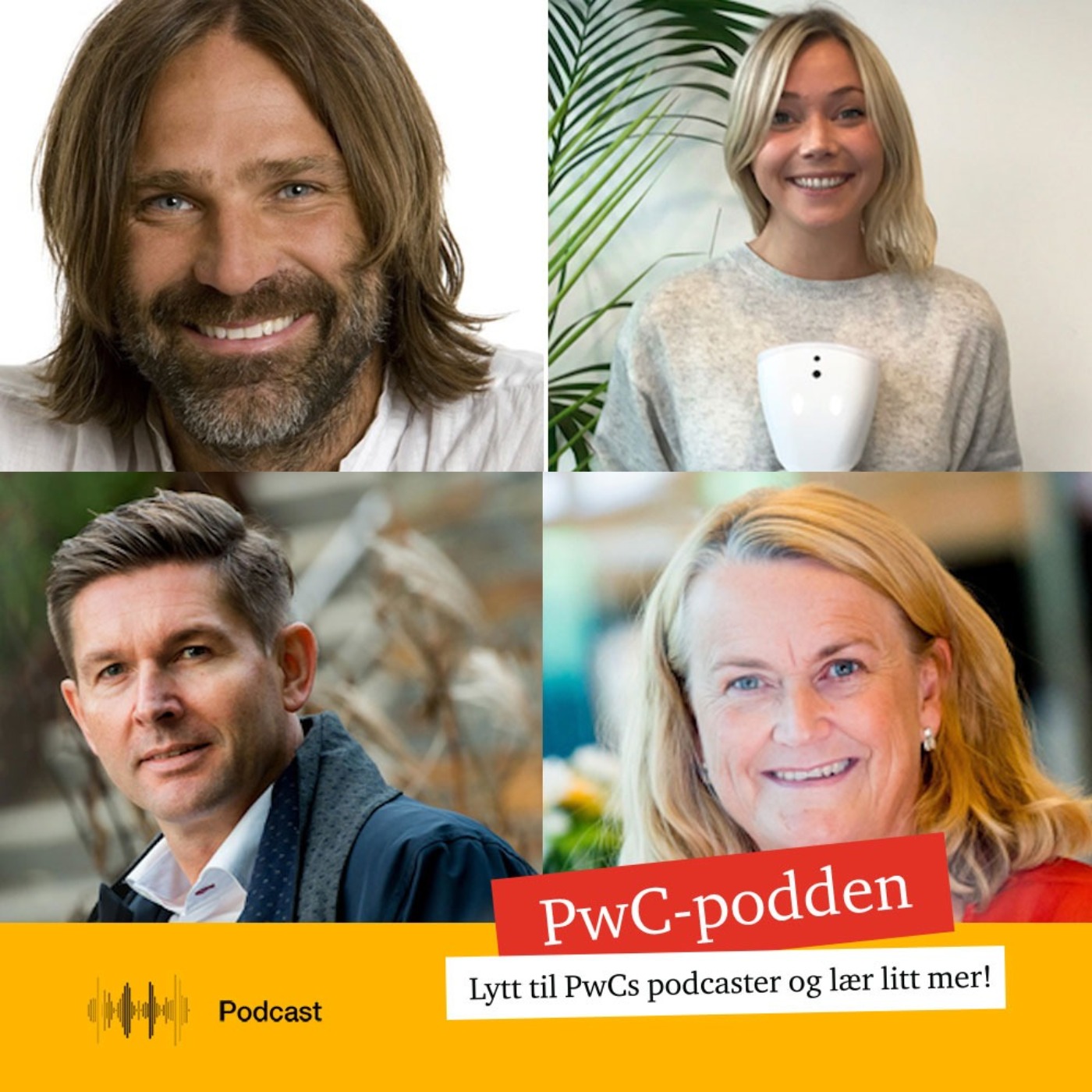 PwC-podden