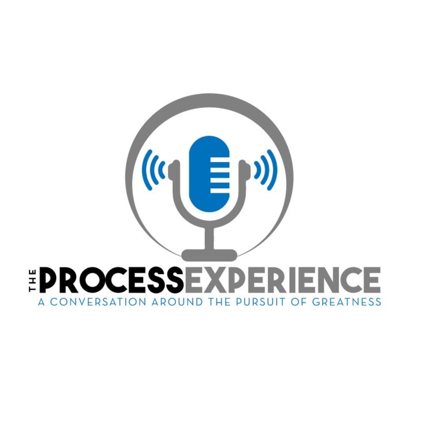 cover art for The Process Experience - TRAILER