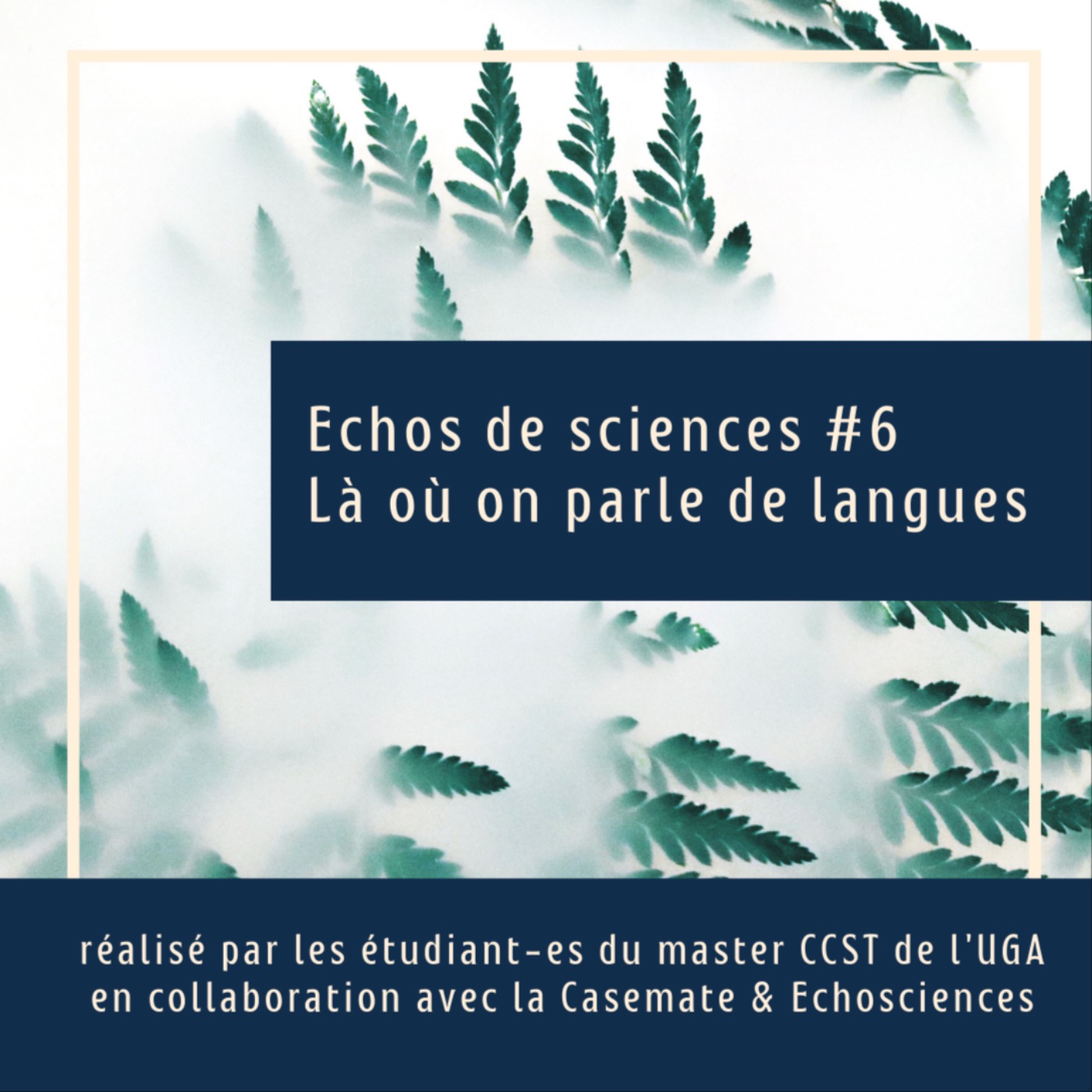 cover art for Echos de Sciences #6 - Linguistique