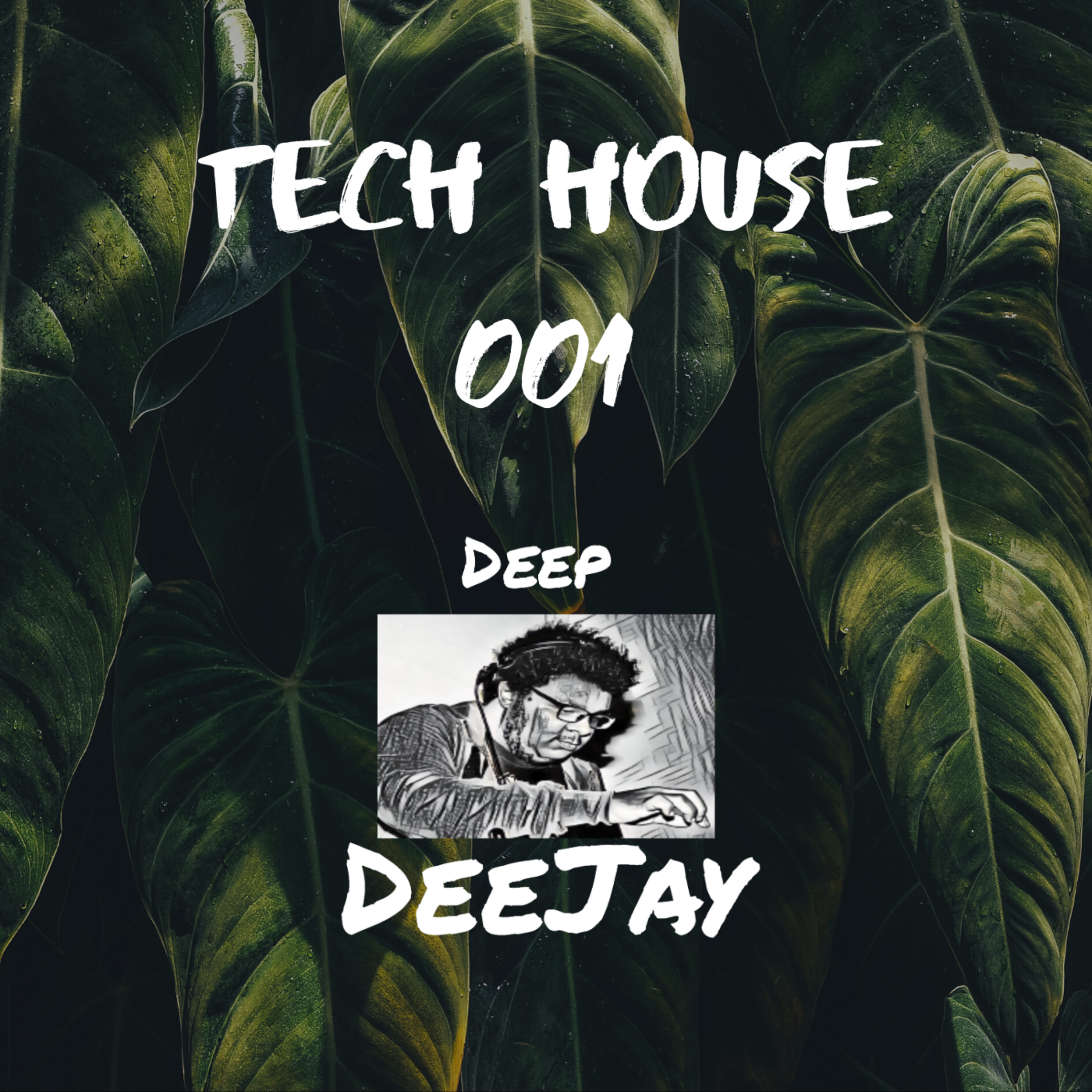 cover art for Deep DeeJay - Tech House 001