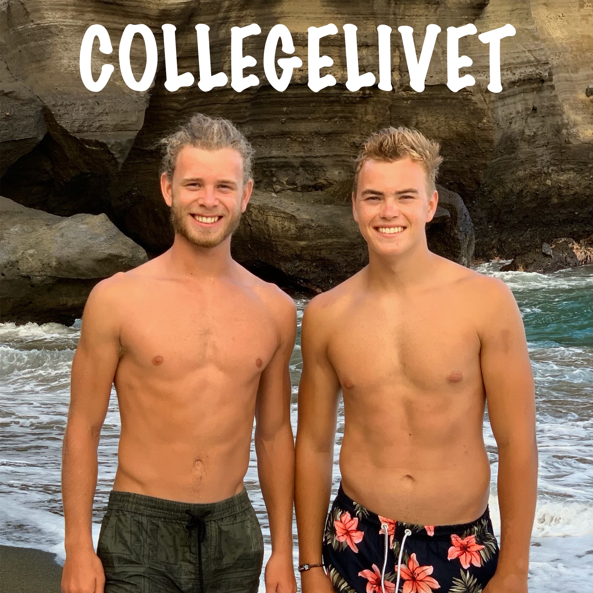 Collegelivet
