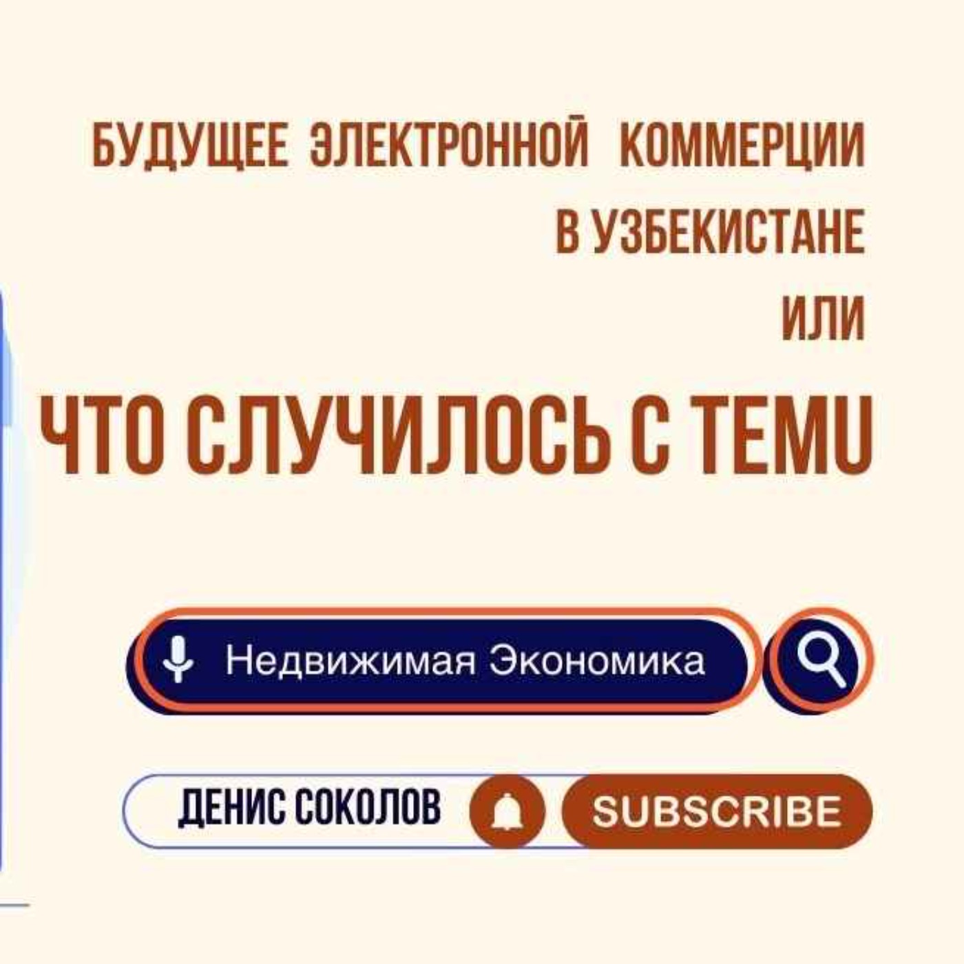 Блокировка Temu в Узбекистане и особенности электронной коммерции