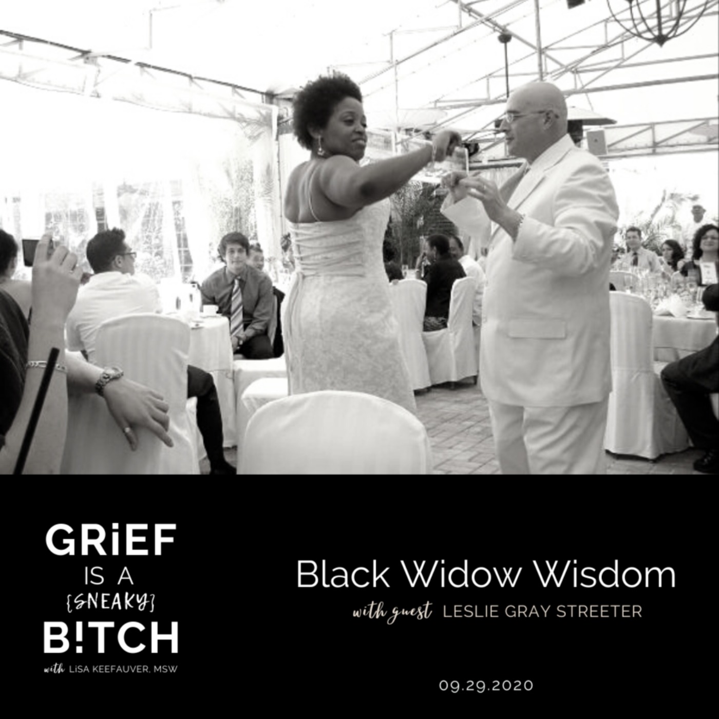 cover art for Leslie Gray Streeter | Black Widow Wisdom