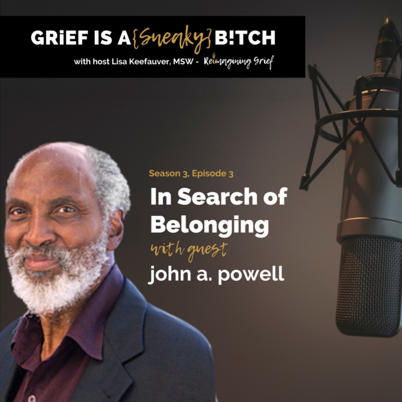 john a powell | In Search of Belonging