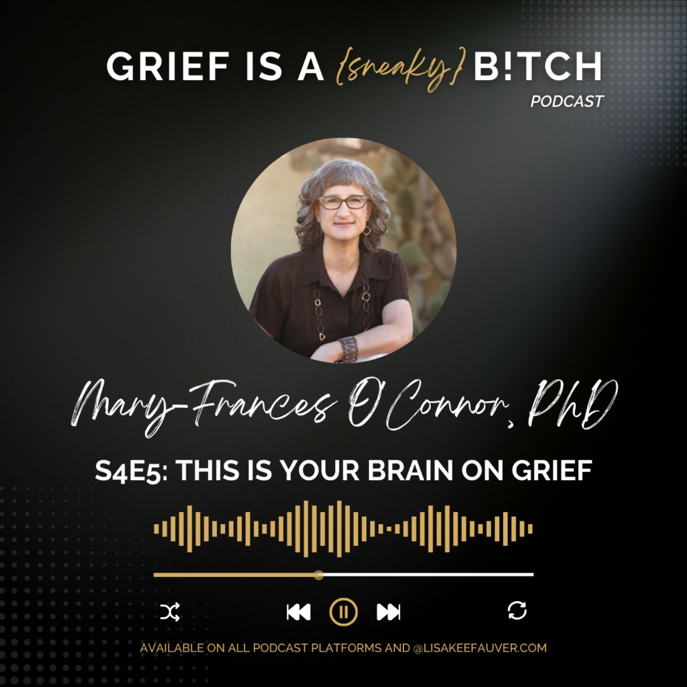 cover art for Mary-Frances O'Connor | This is Your Brain on Grief