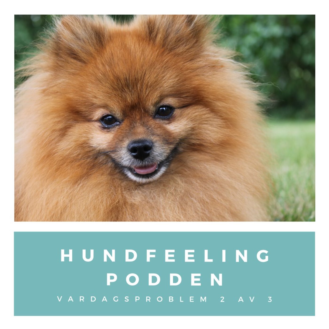Hundfeelingpodden