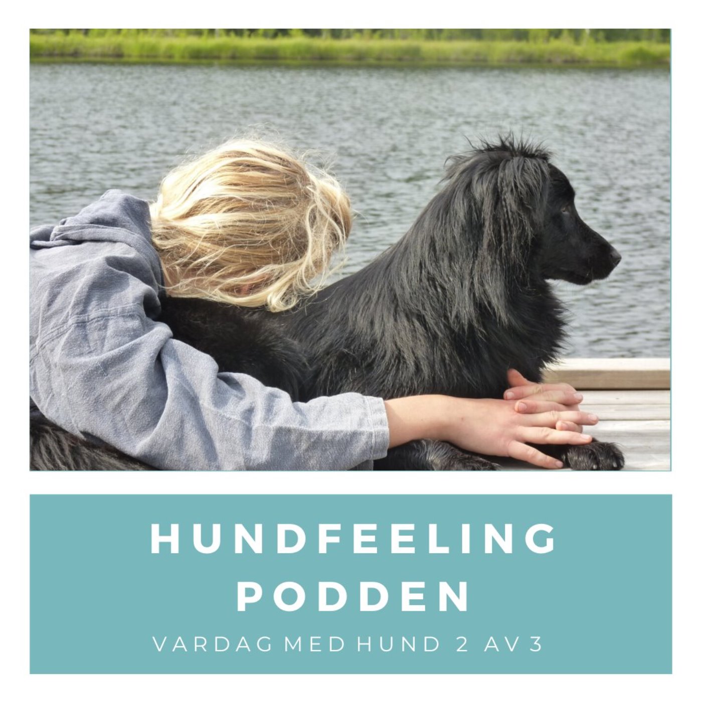 Hundfeelingpodden