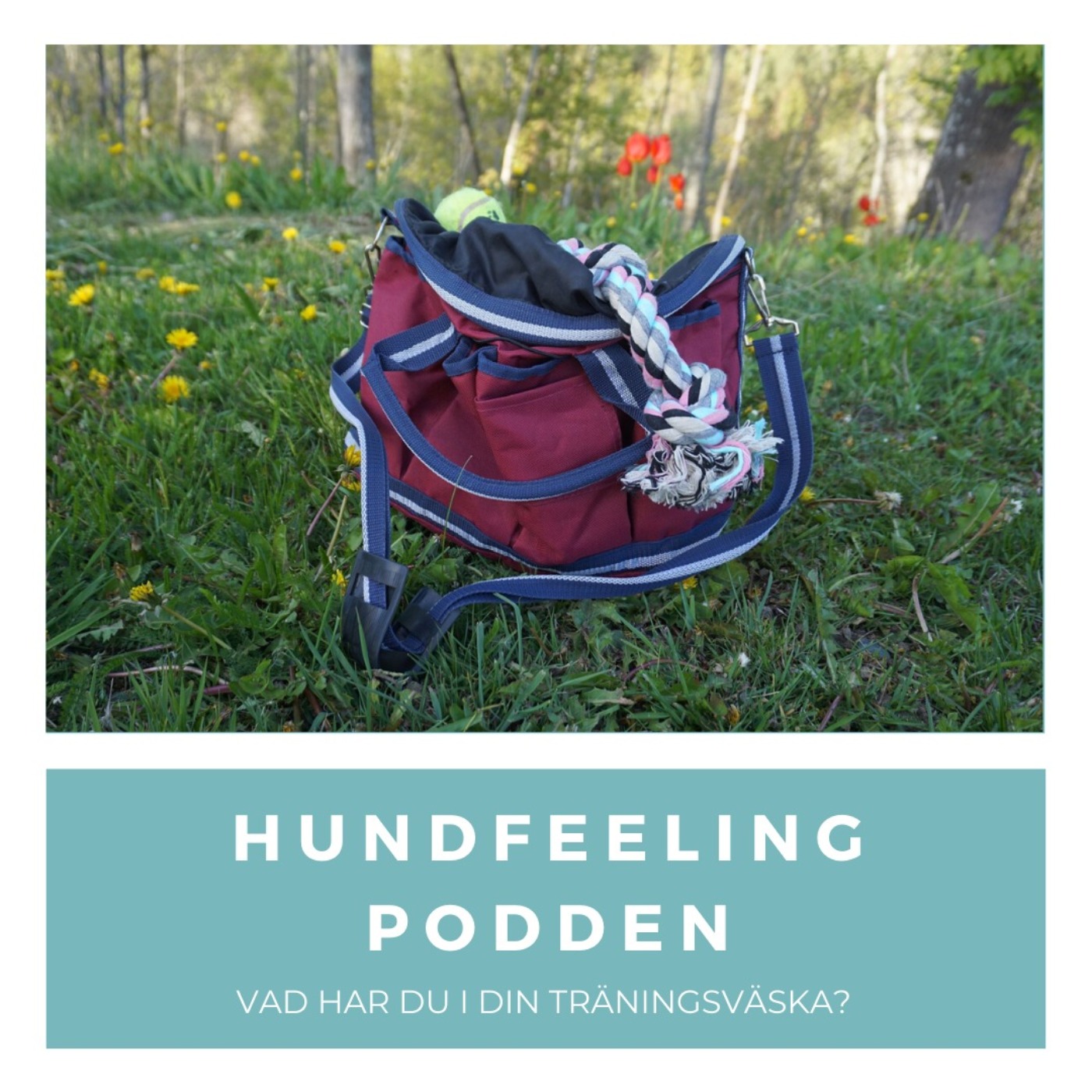 Hundfeelingpodden