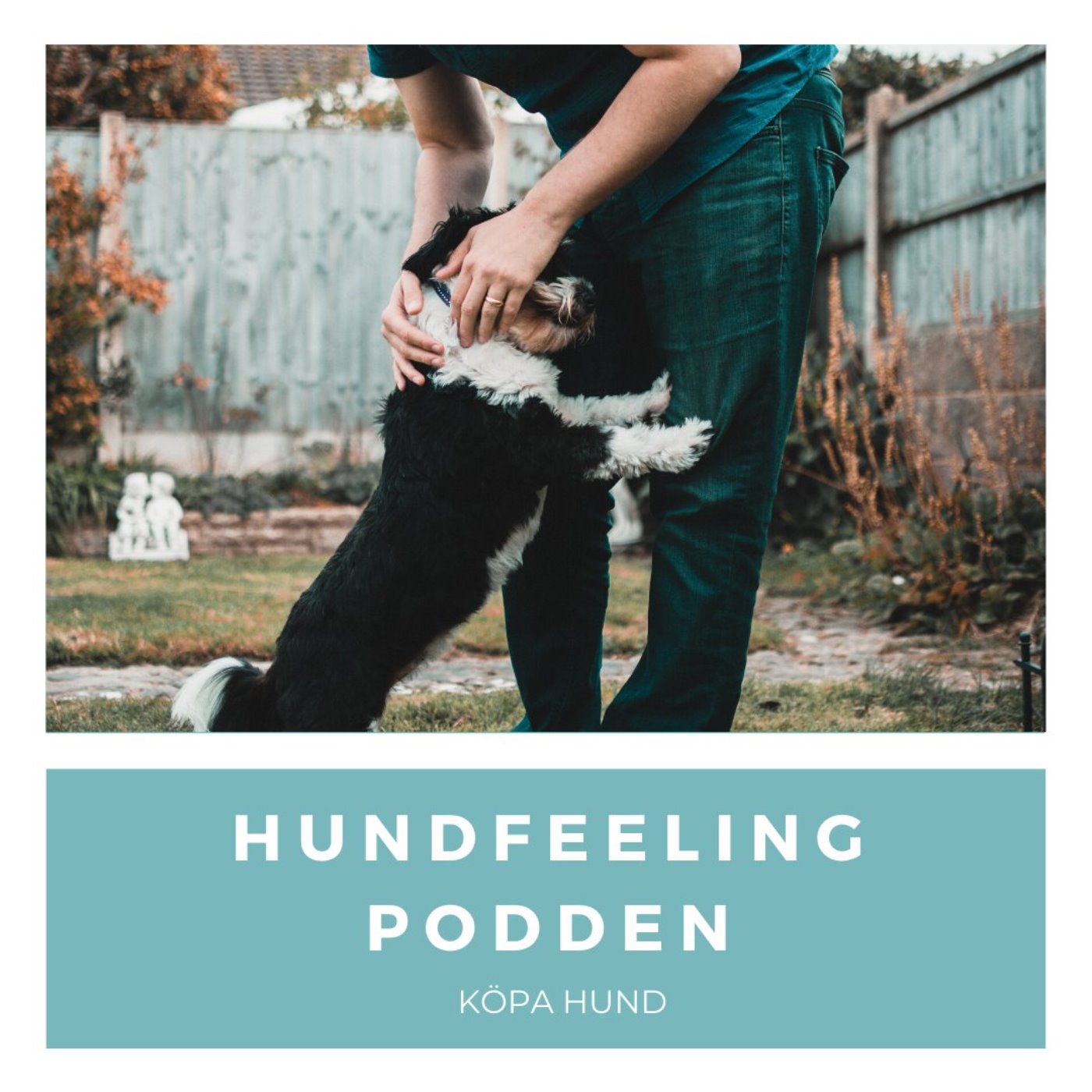 Hundfeelingpodden