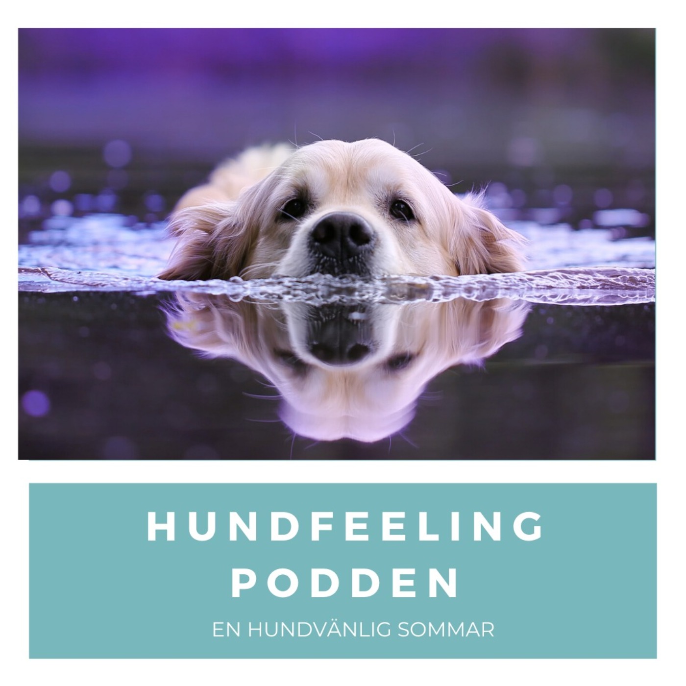Hundfeelingpodden
