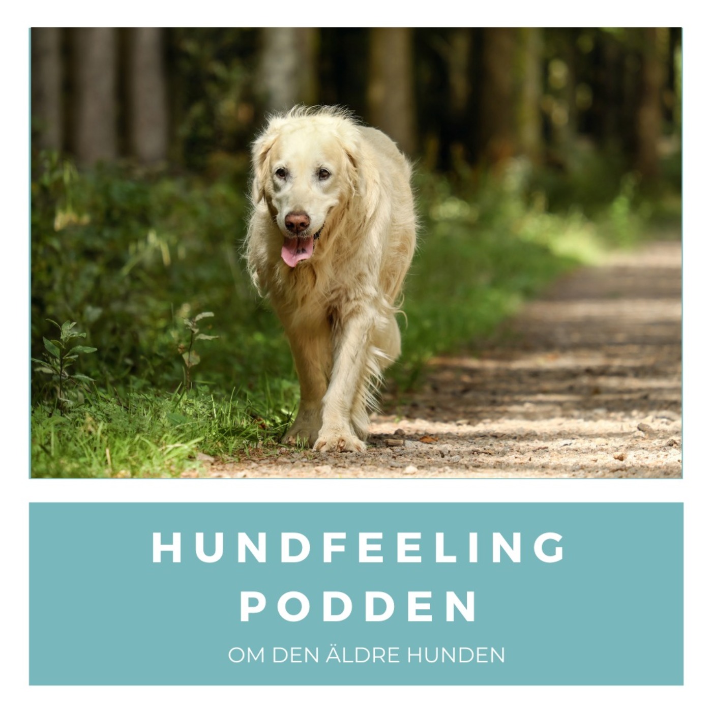 Hundfeelingpodden
