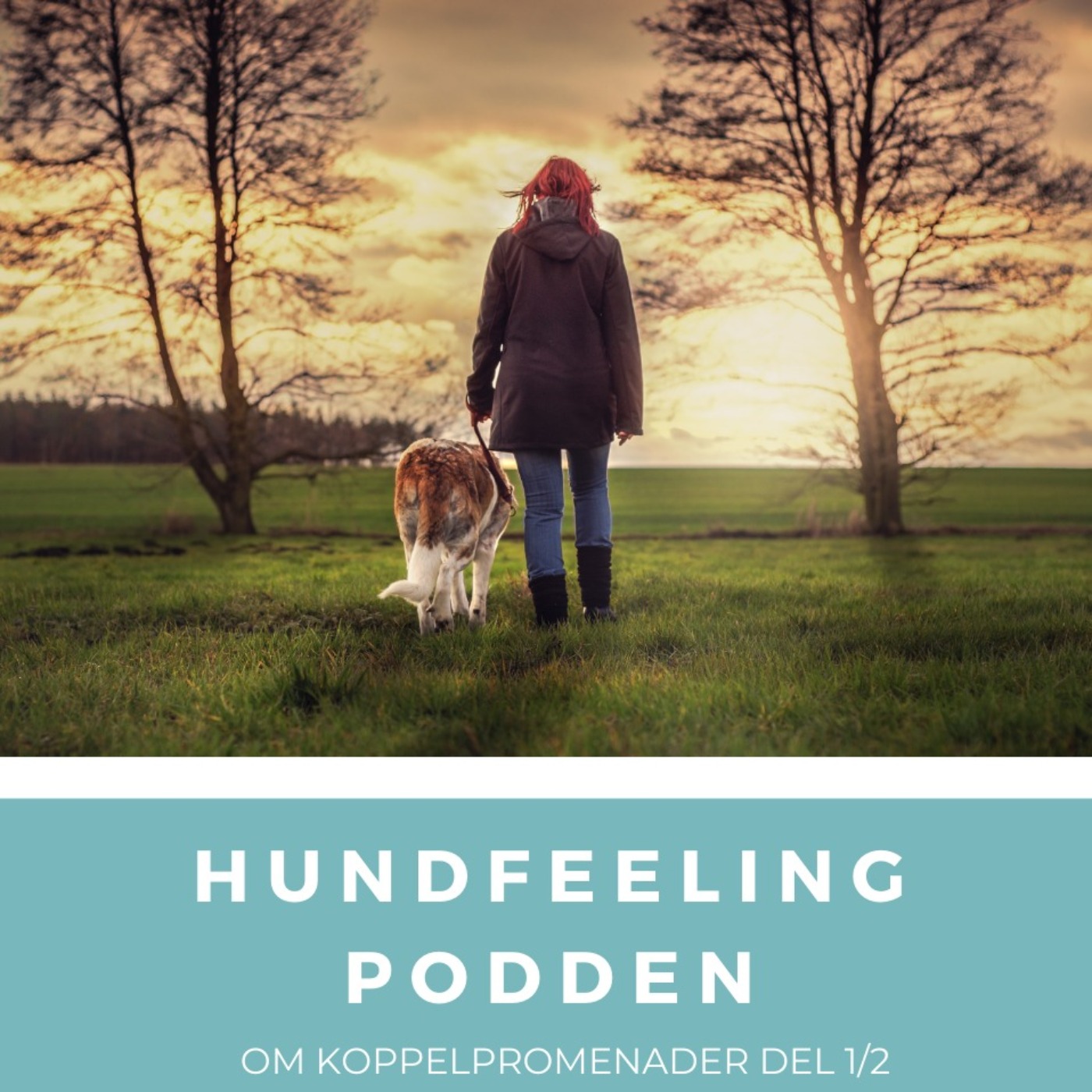 Hundfeelingpodden