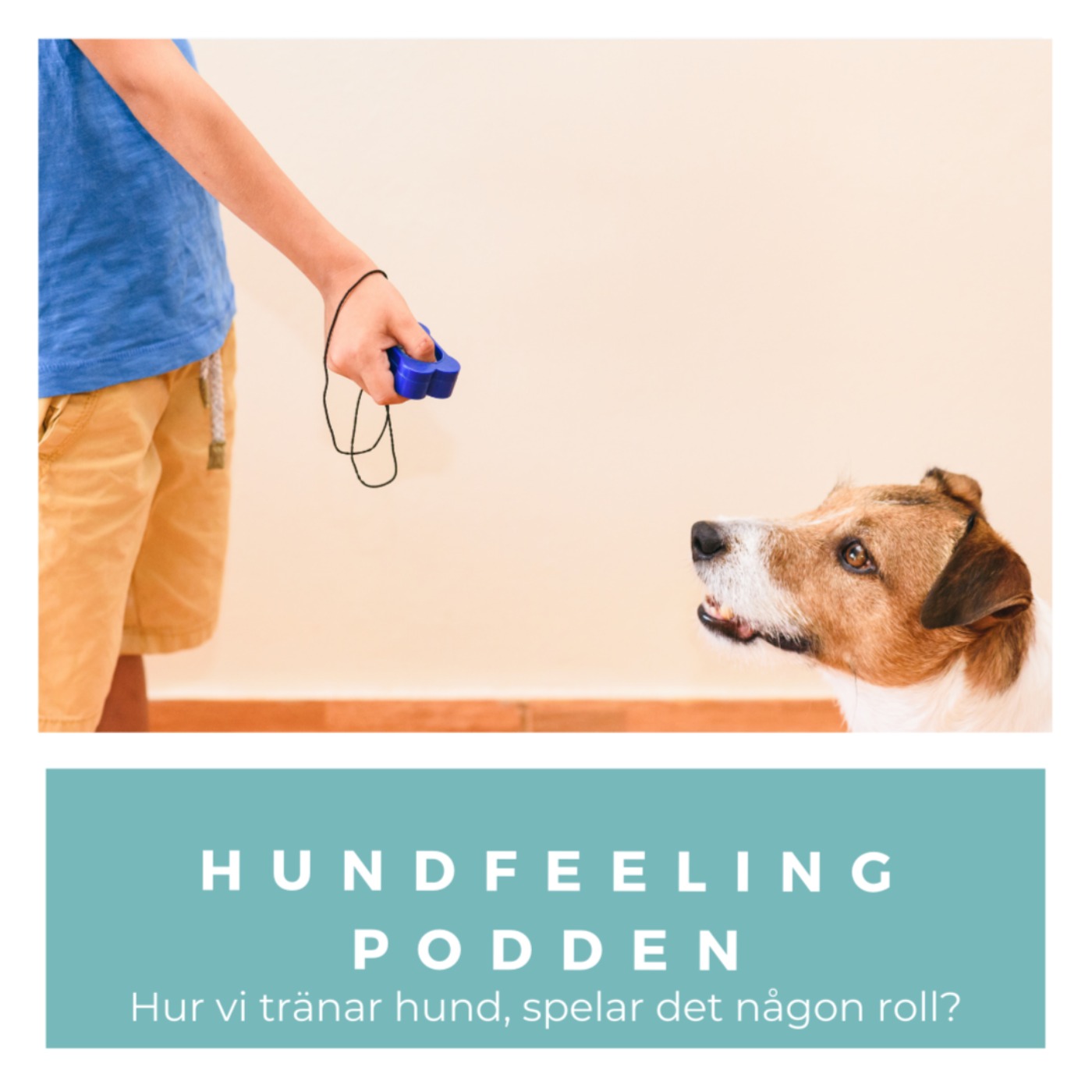 Hundfeelingpodden