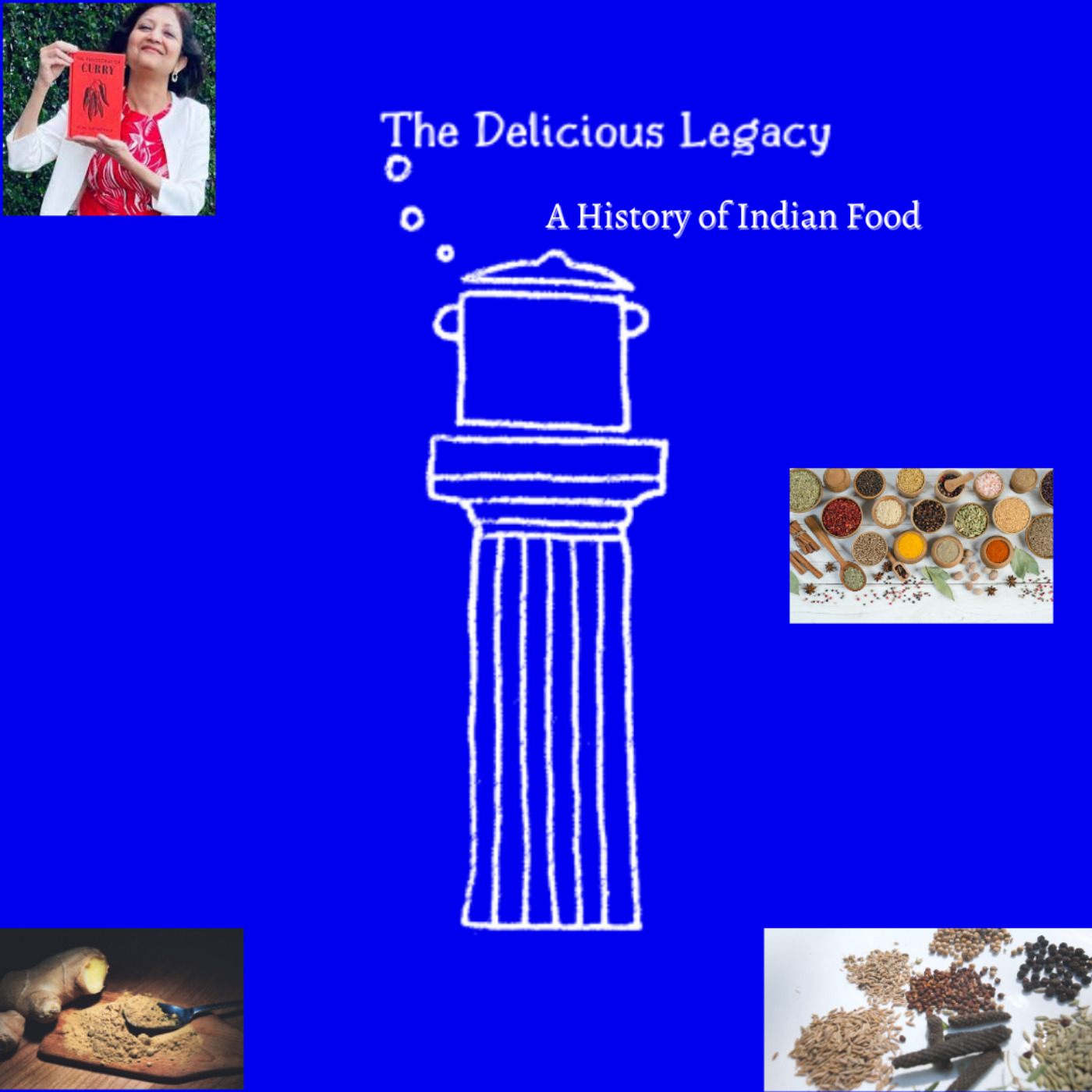 A History of Indian Food – Interview with Sejal Sukhadwala