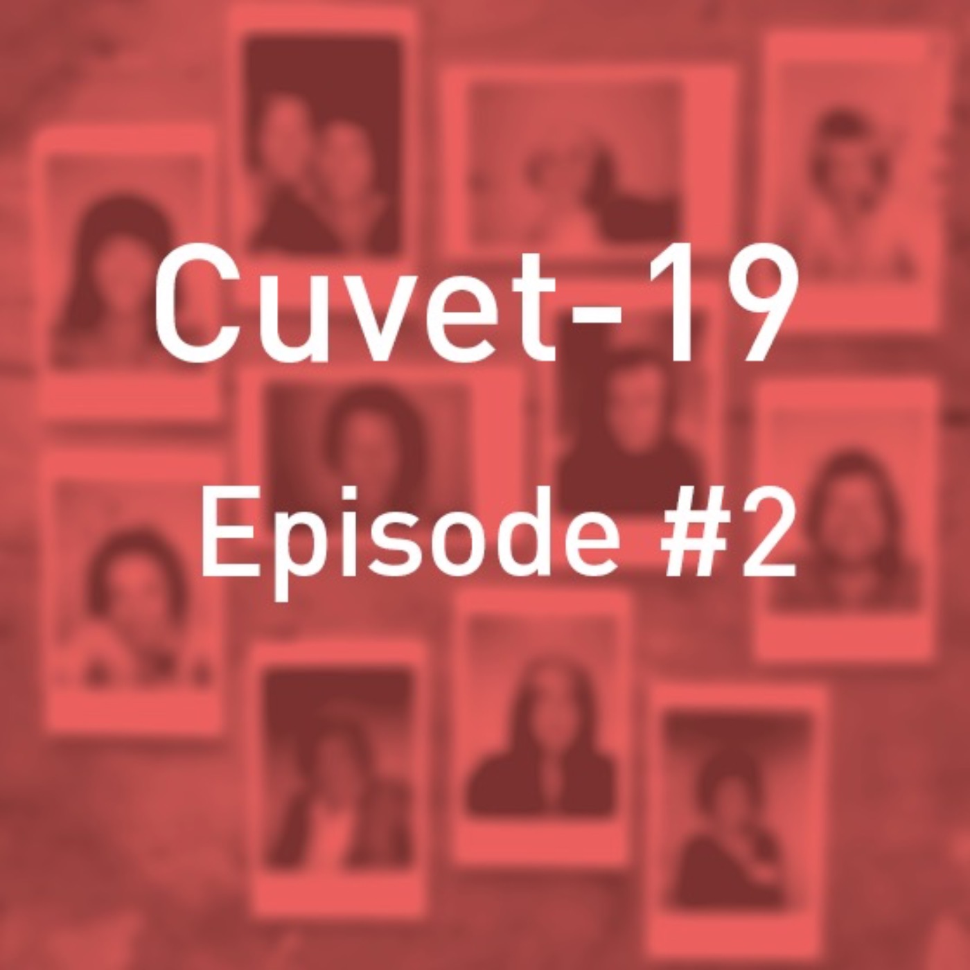 Confidences sur la cuvette