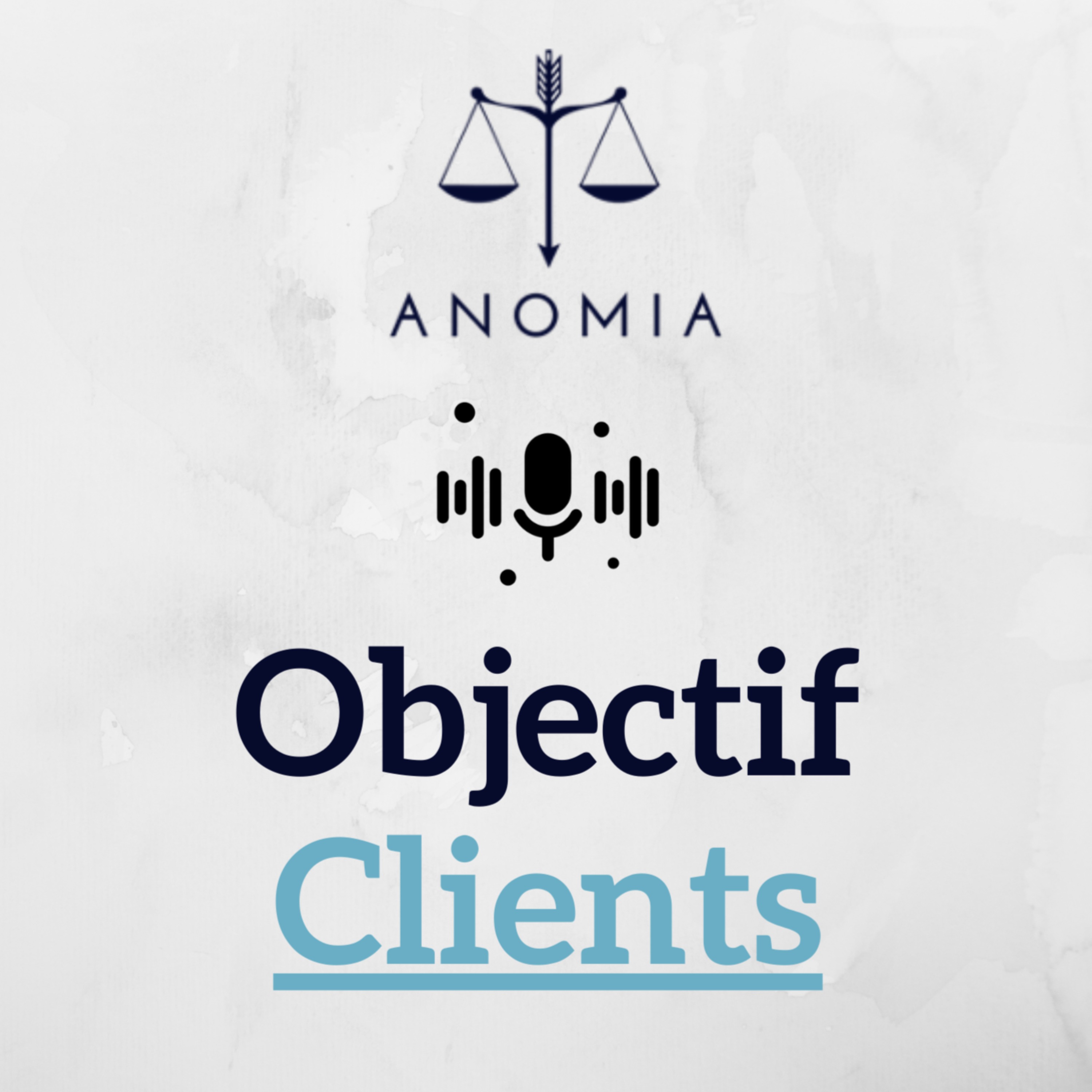 Anomia - le partenaire Business des avocats