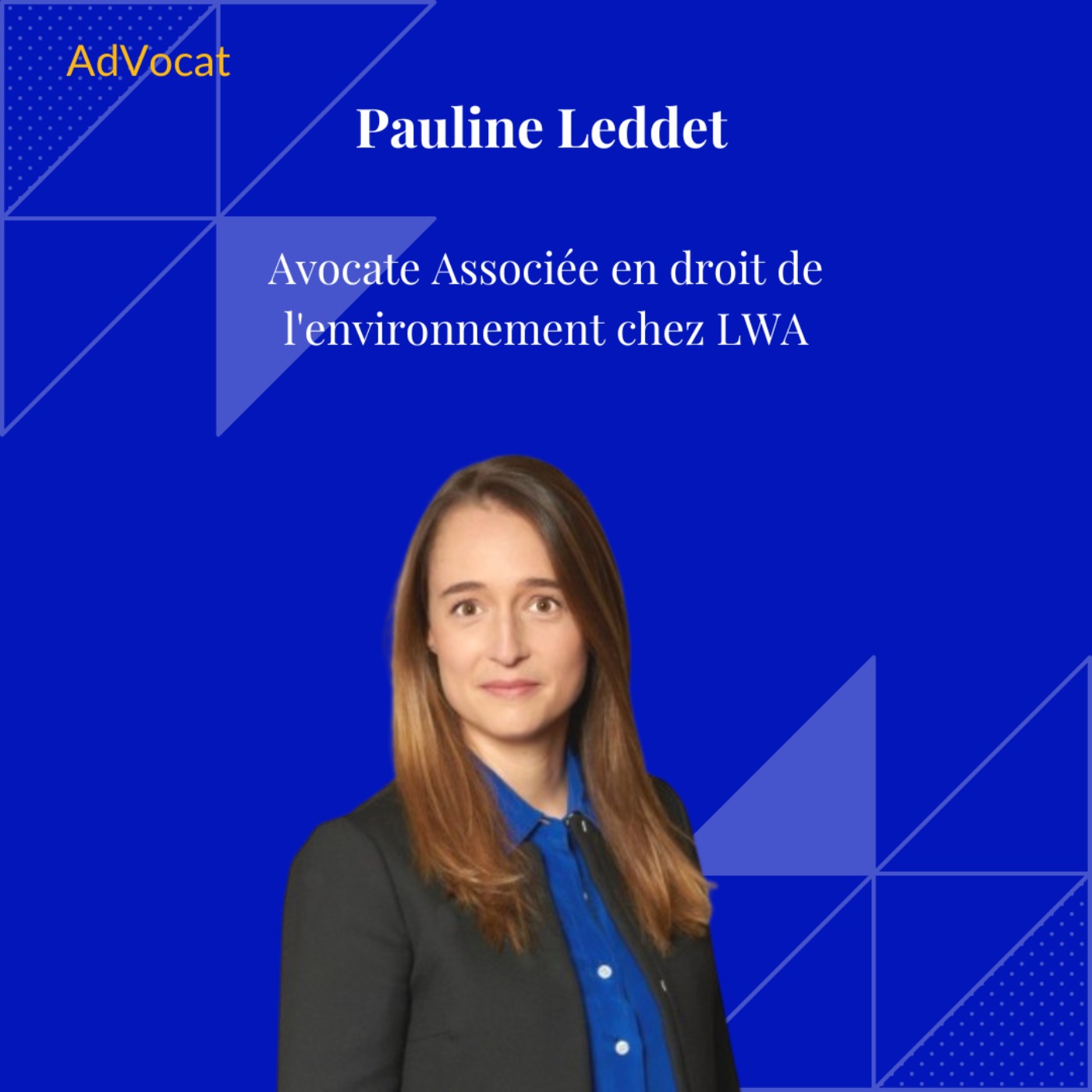 Anomia - le partenaire Business des avocats