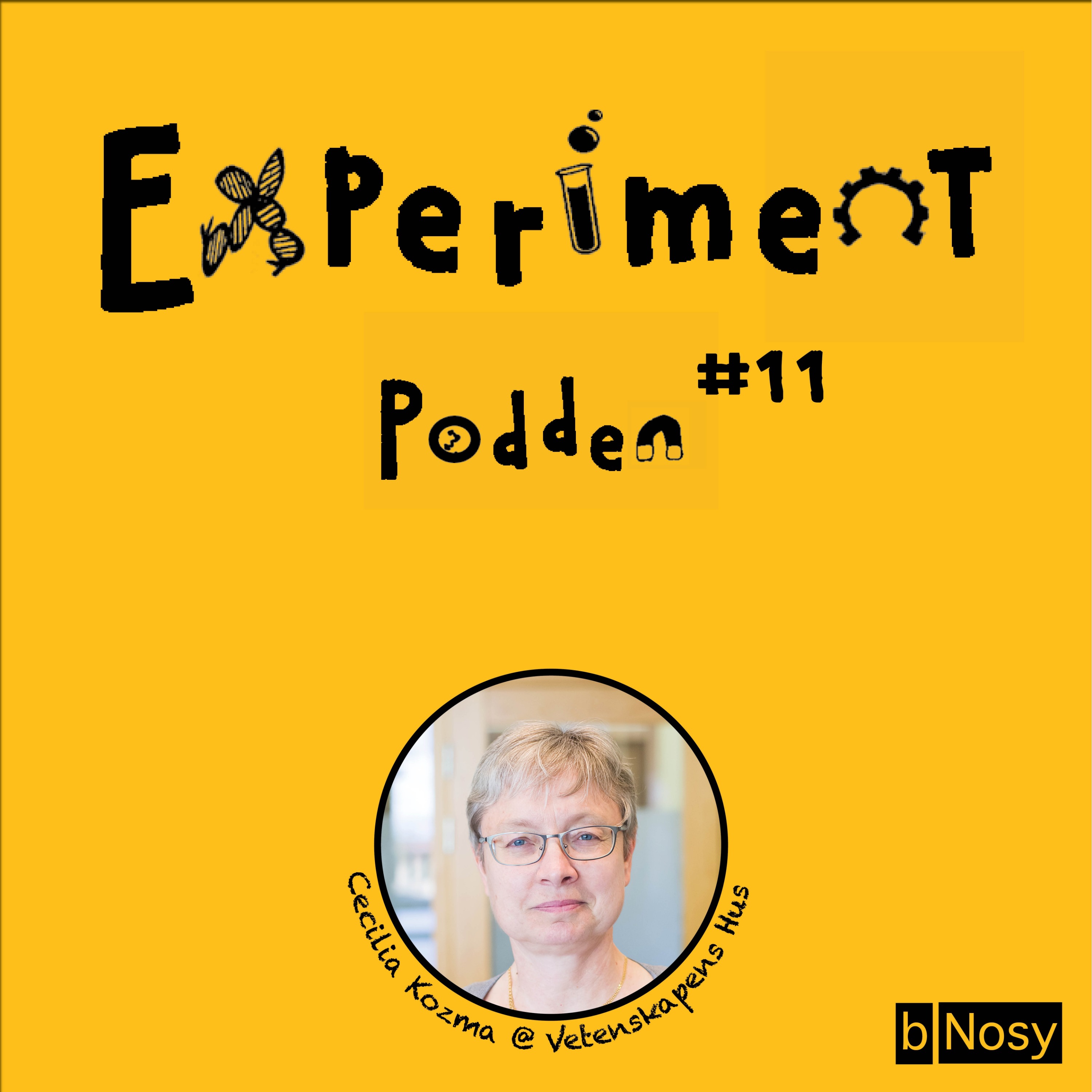 Experimentpodden