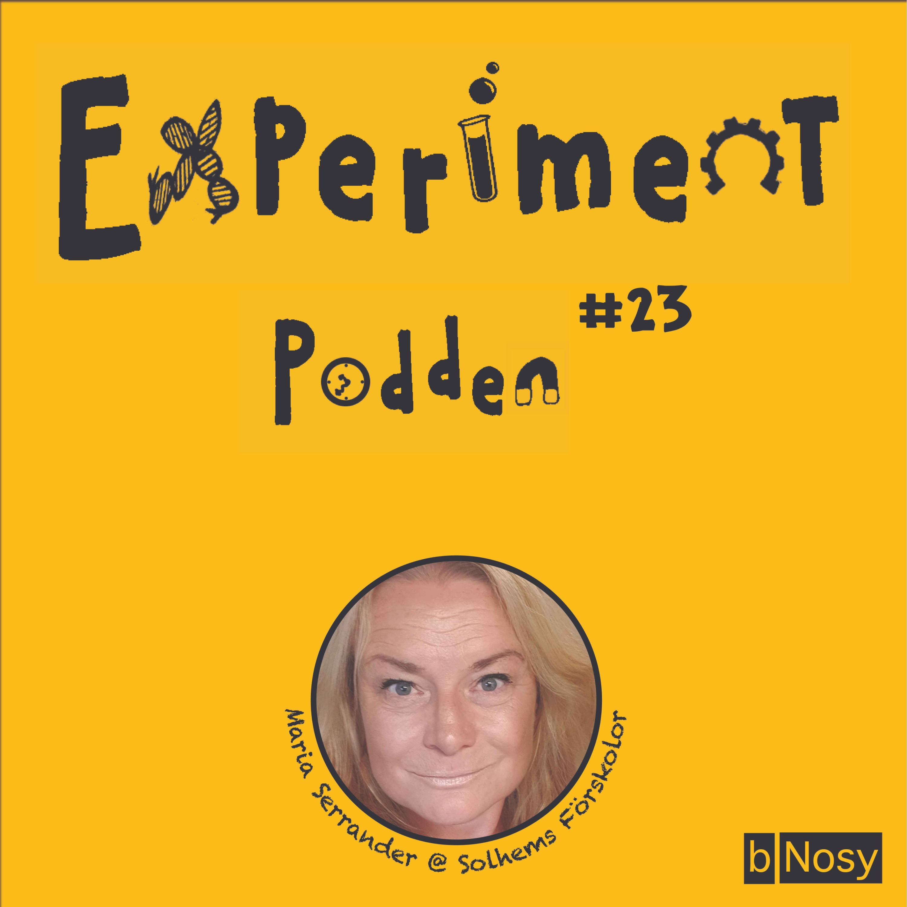 Experimentpodden