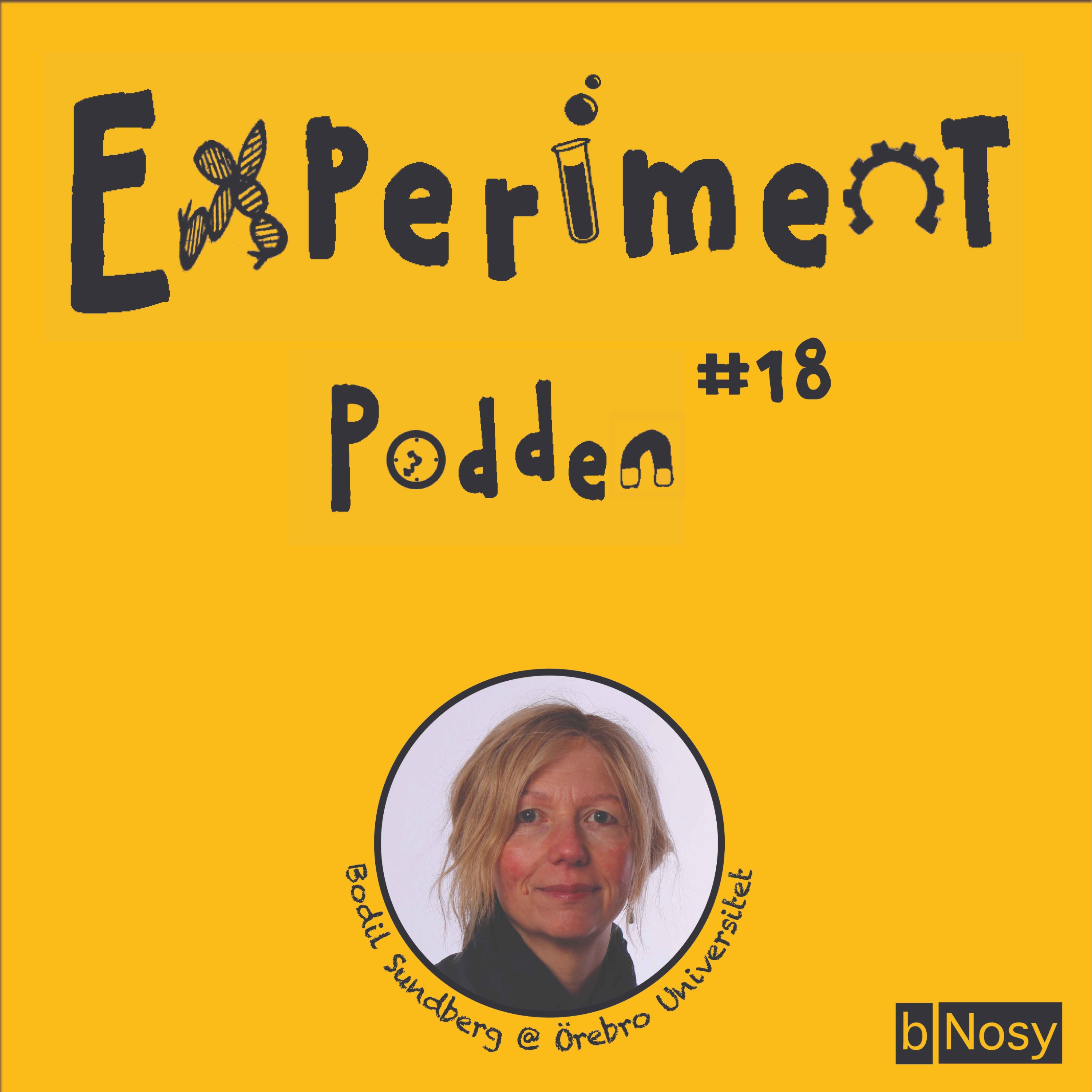 Experimentpodden