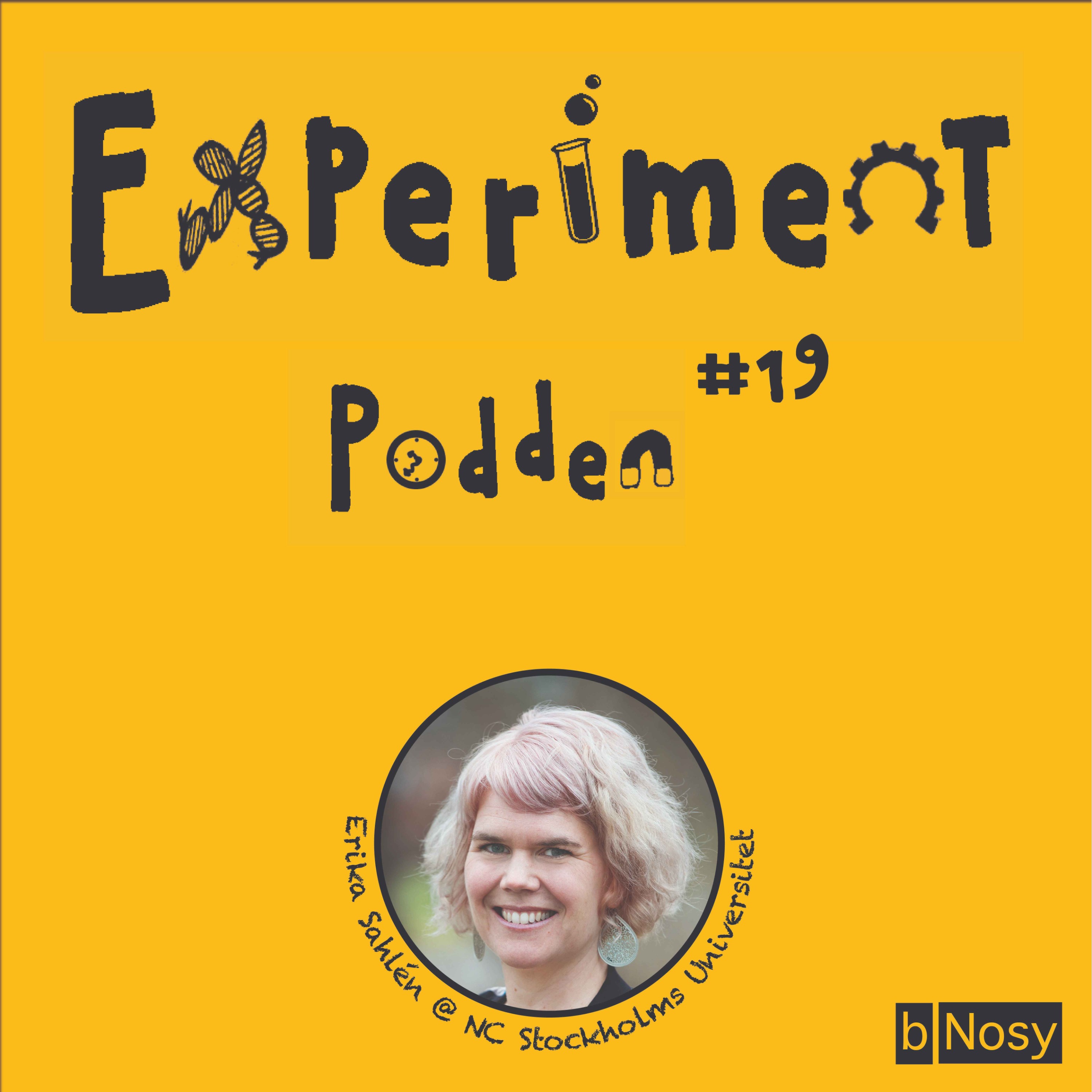 Experimentpodden
