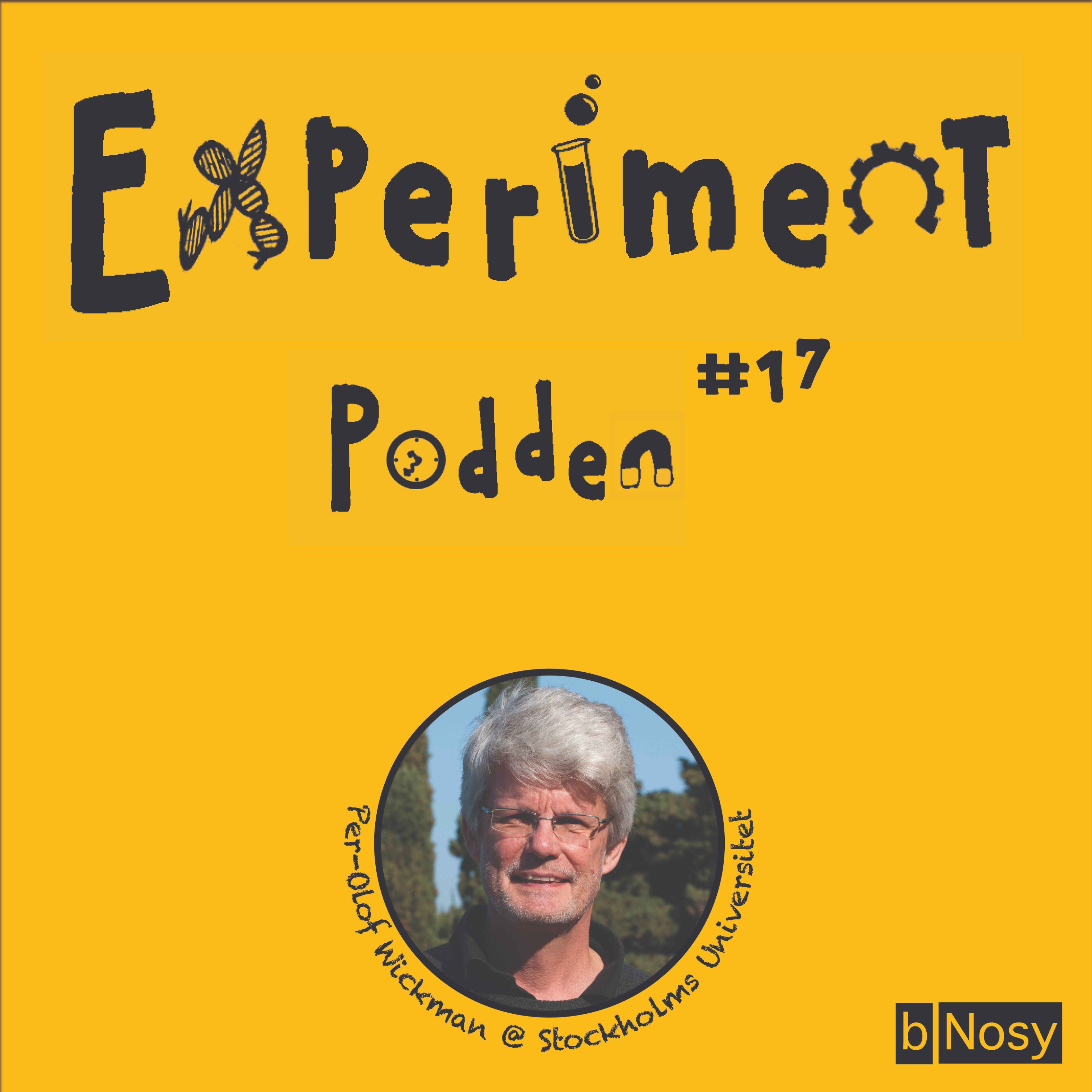 Experimentpodden