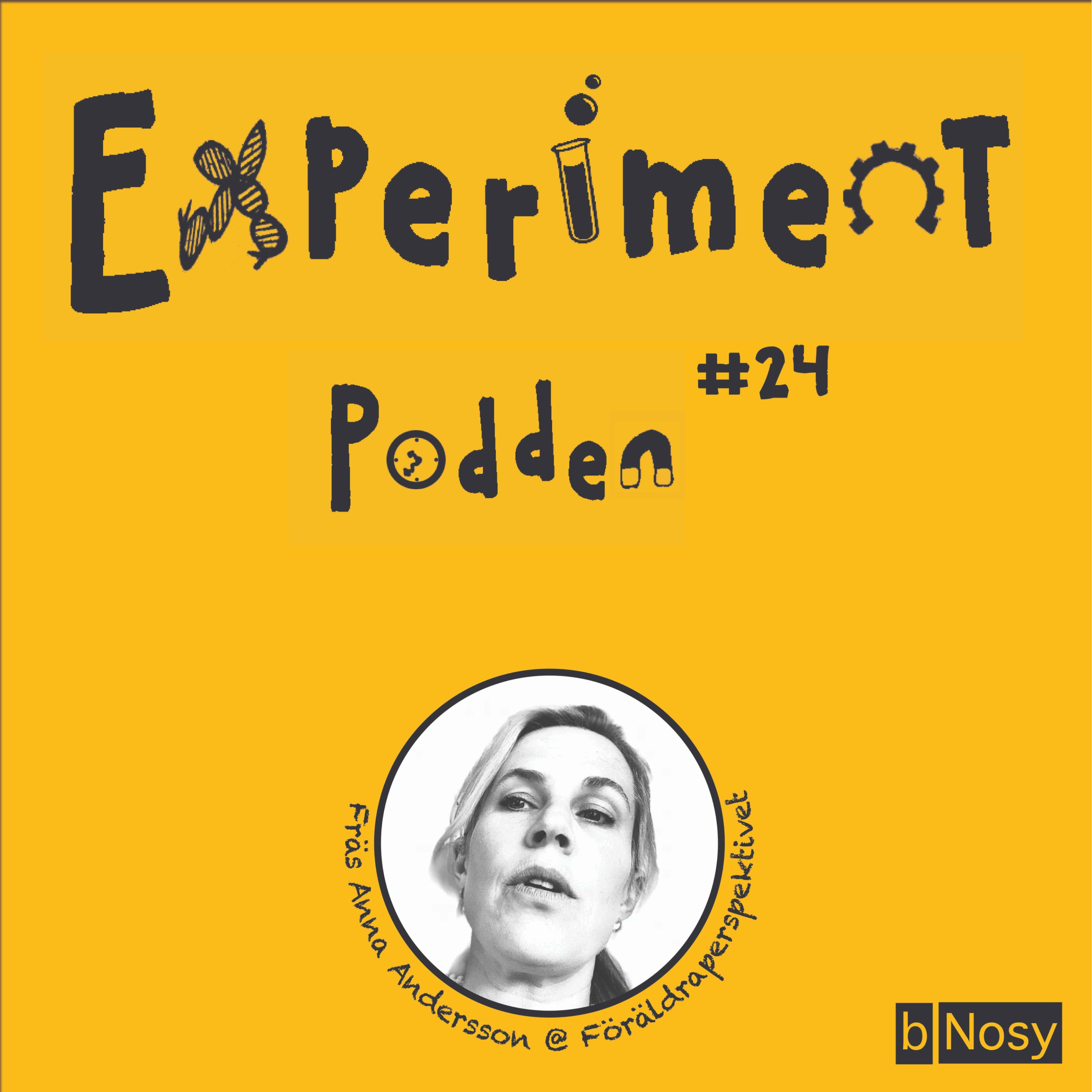 Experimentpodden