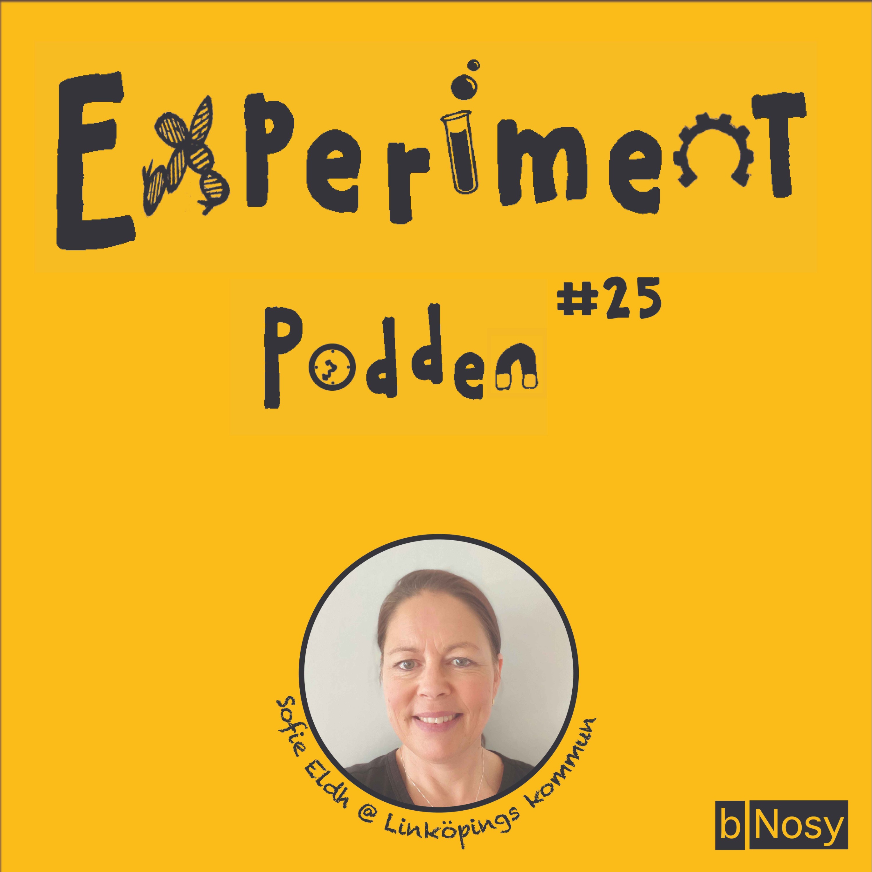 Experimentpodden
