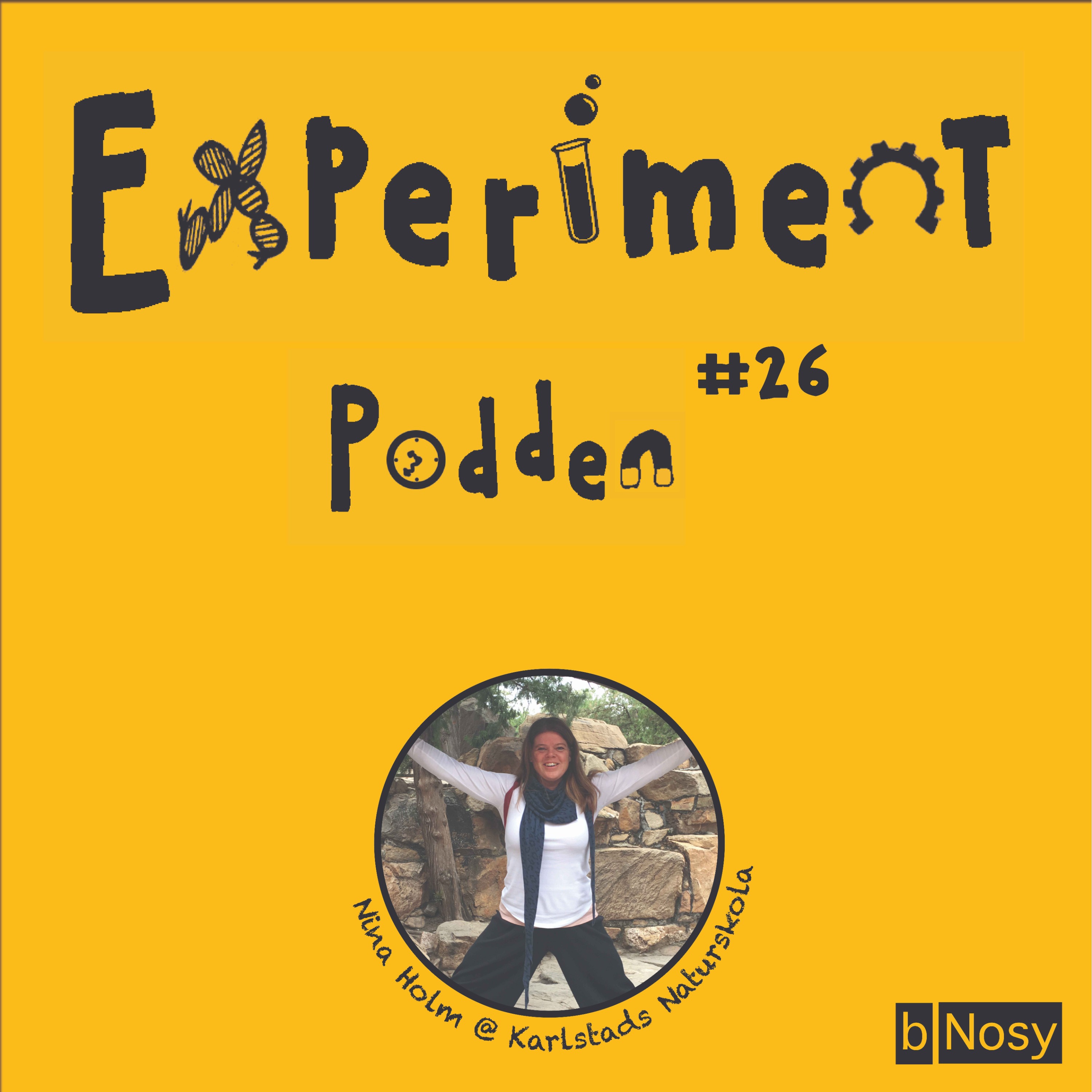 Experimentpodden