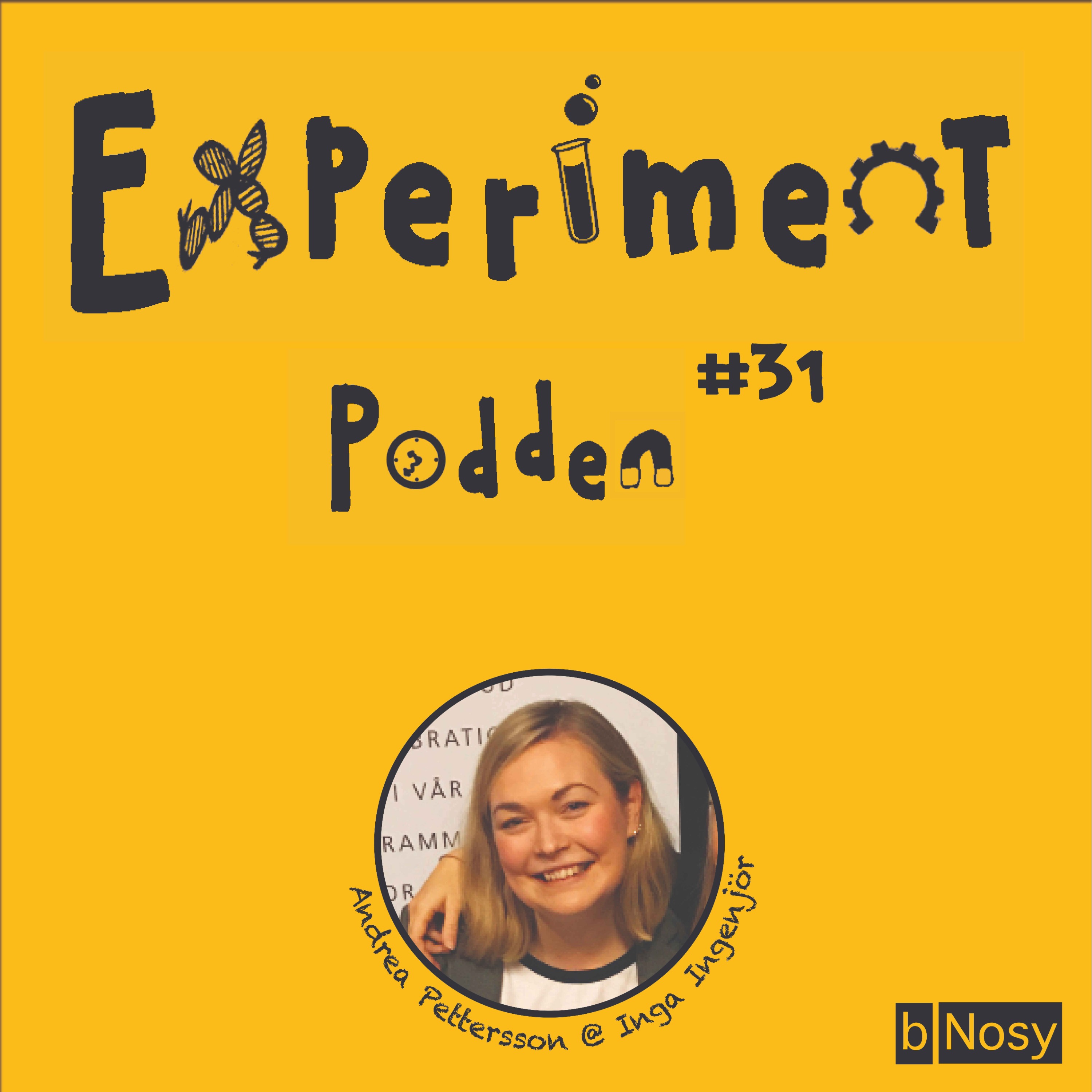 Experimentpodden
