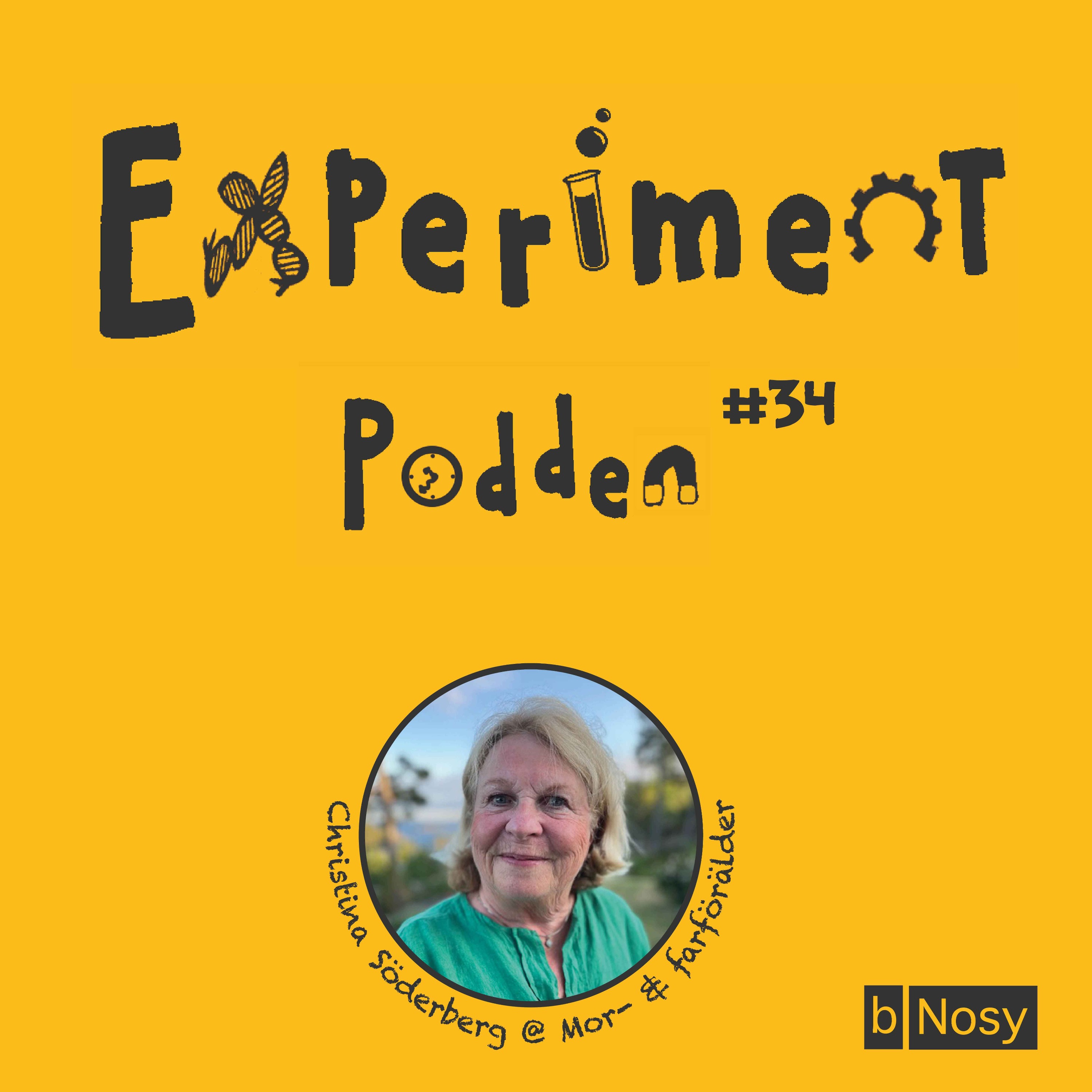 Experimentpodden
